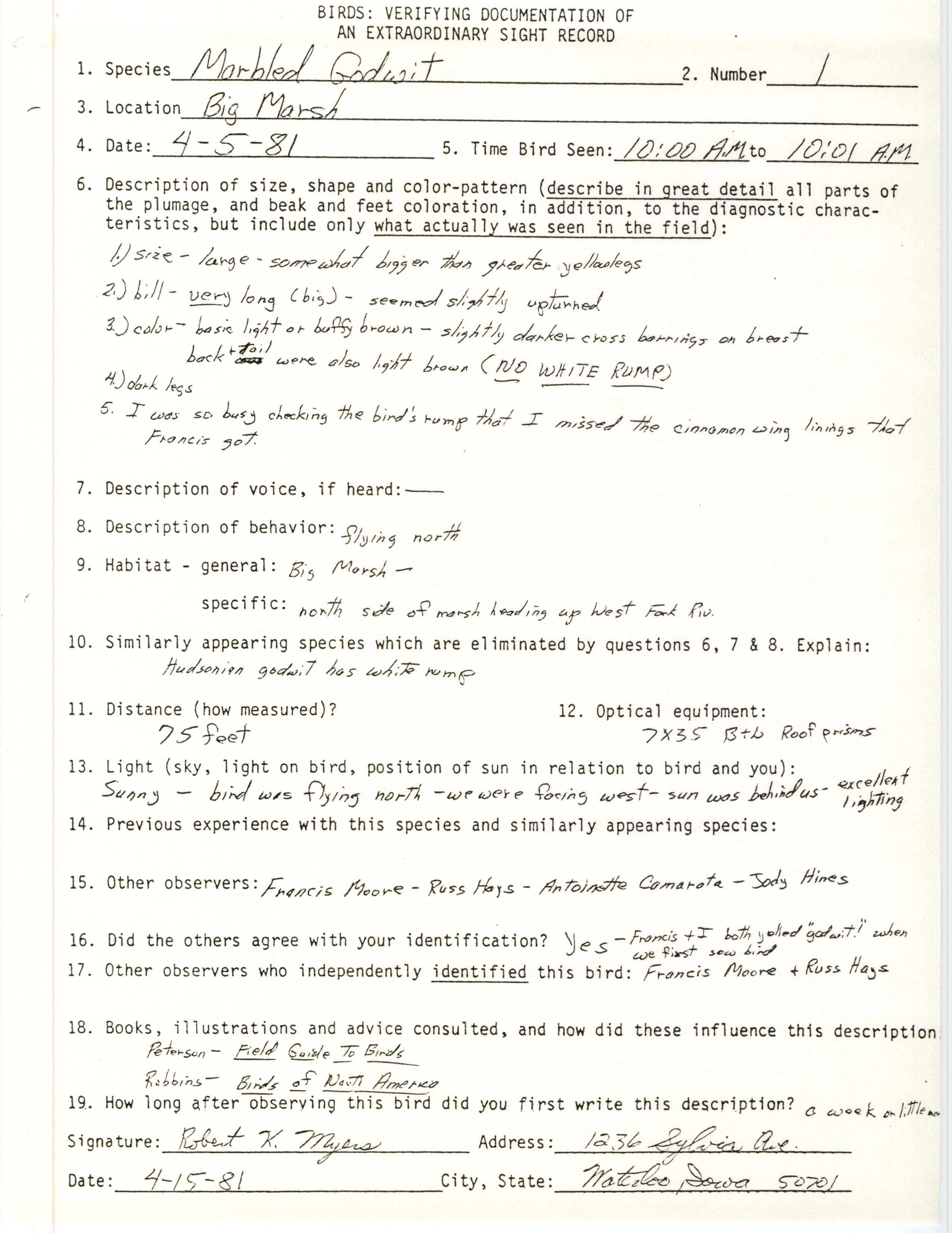 Rare bird documentation form for Marbled Godwit at Big Marsh in 1981