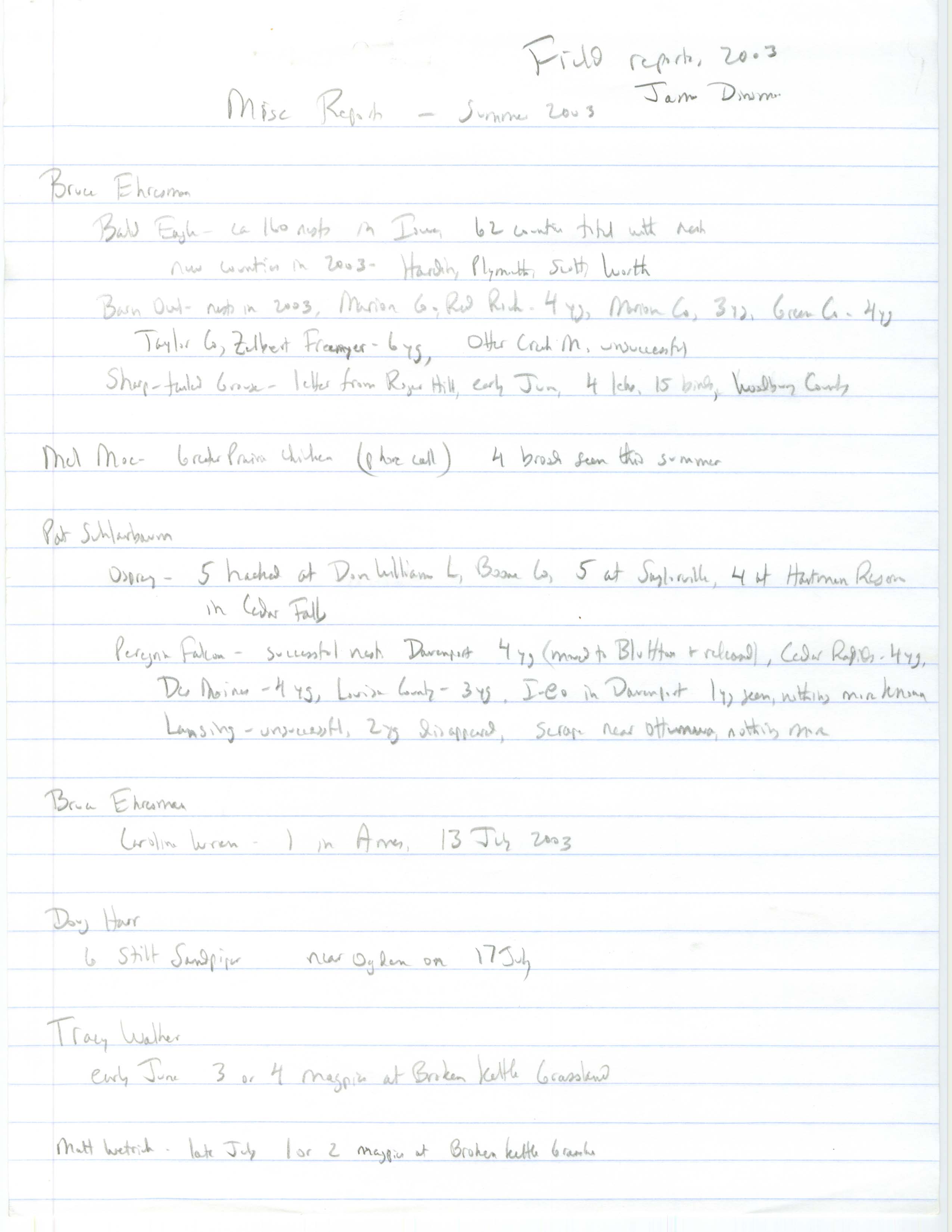 Field notes contributed by James J. Dinsmore regarding miscellaneous bird sightings, summer 2003