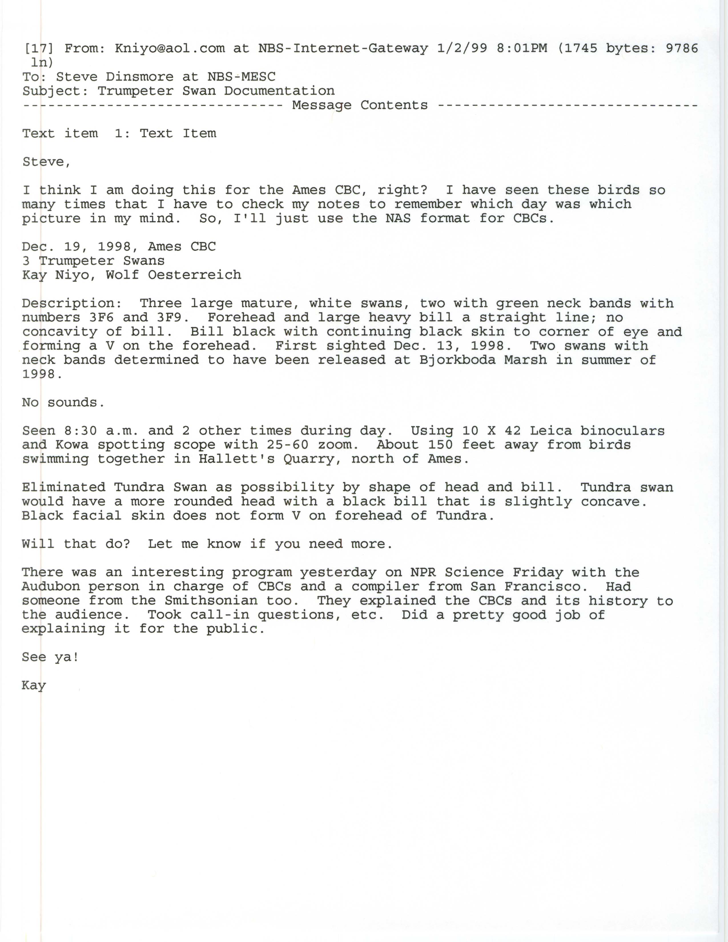 Kayleen Niyo email to Steven Dinsmore regarding a Trumpeter Swan sighting, 1998