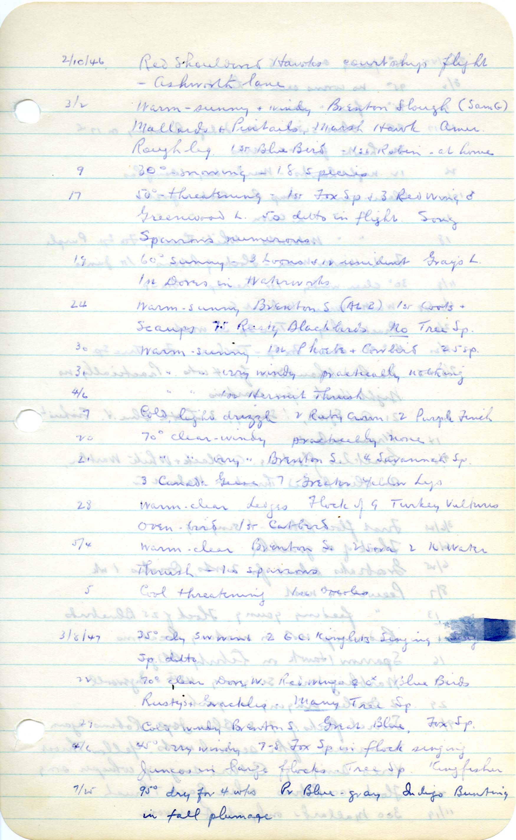 Birdwatching notes compiled by Woodward Hart Brown, 1946-1980