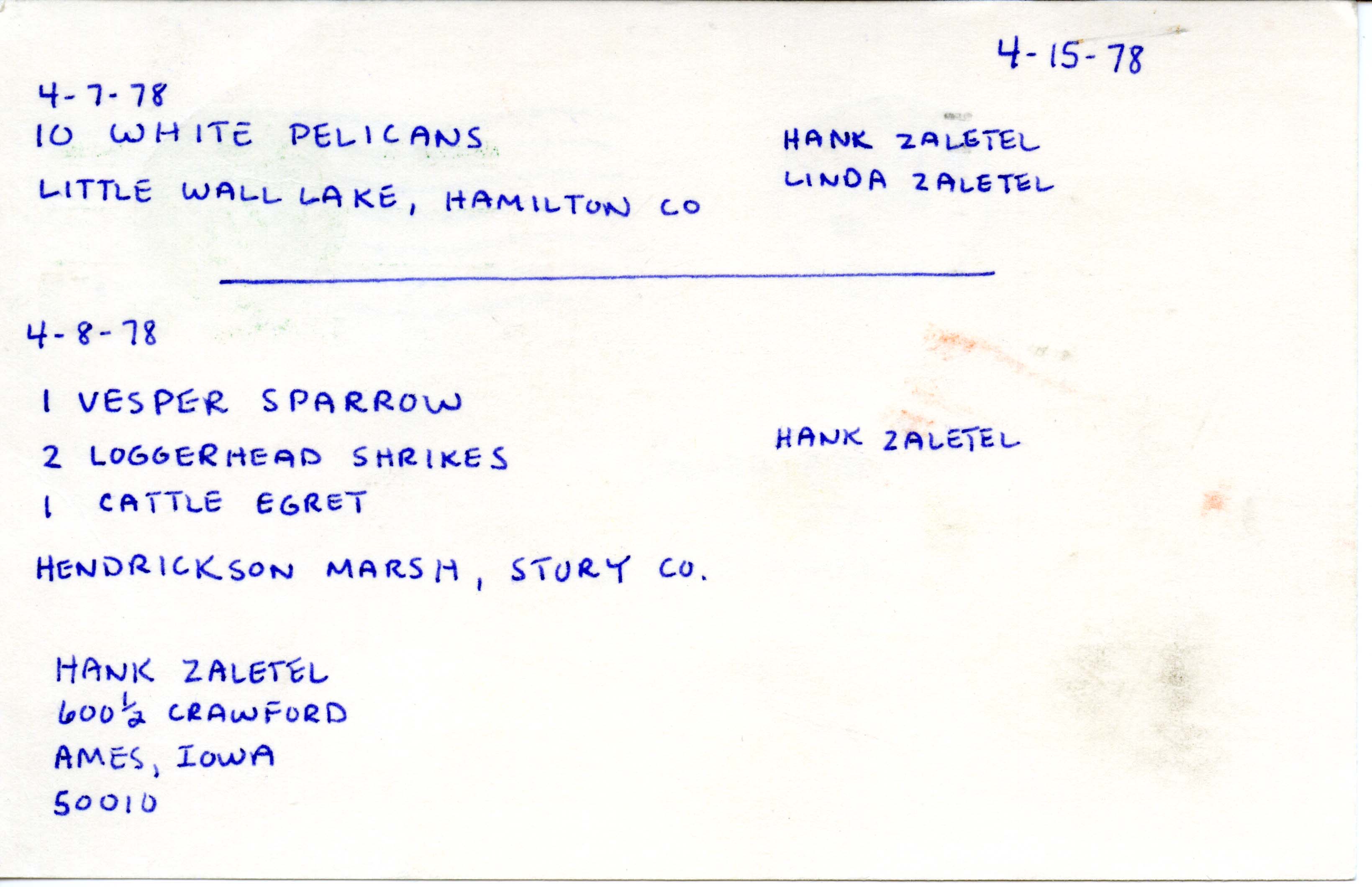  Hank Zaletel letter to Nicholas S. Halmi regarding bird sightings, April 15, 1978