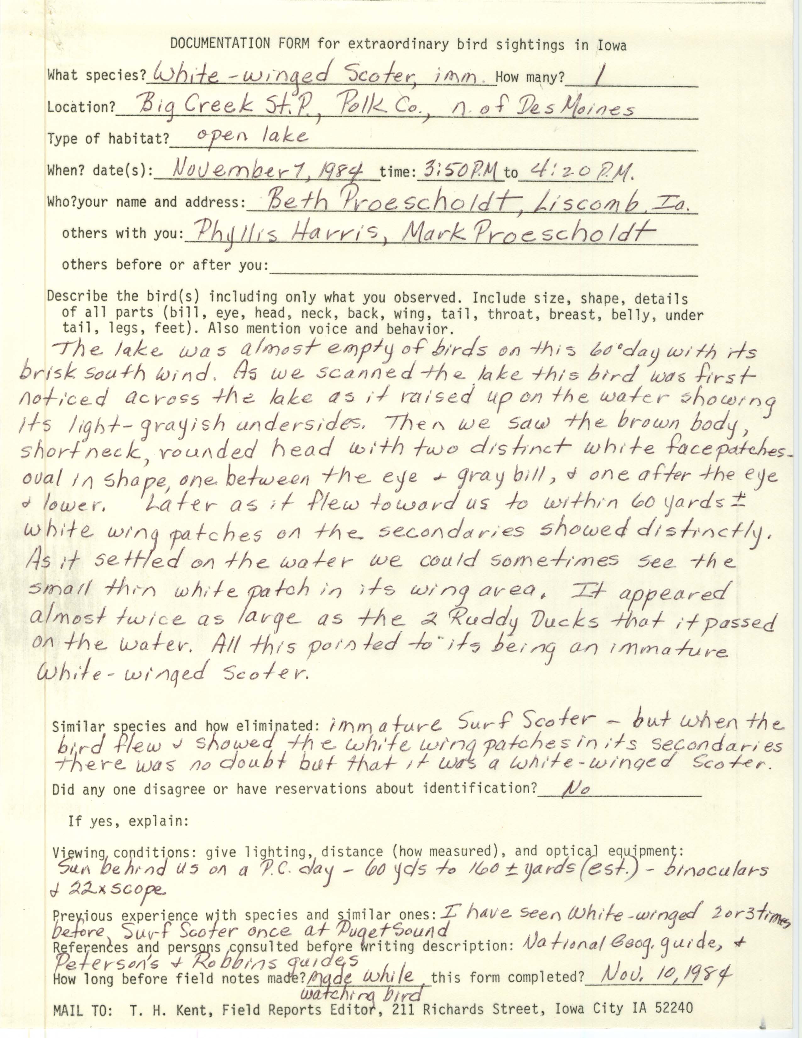 Rare bird documentation form for White-winged Scoter at Big Creek State Park, 1984