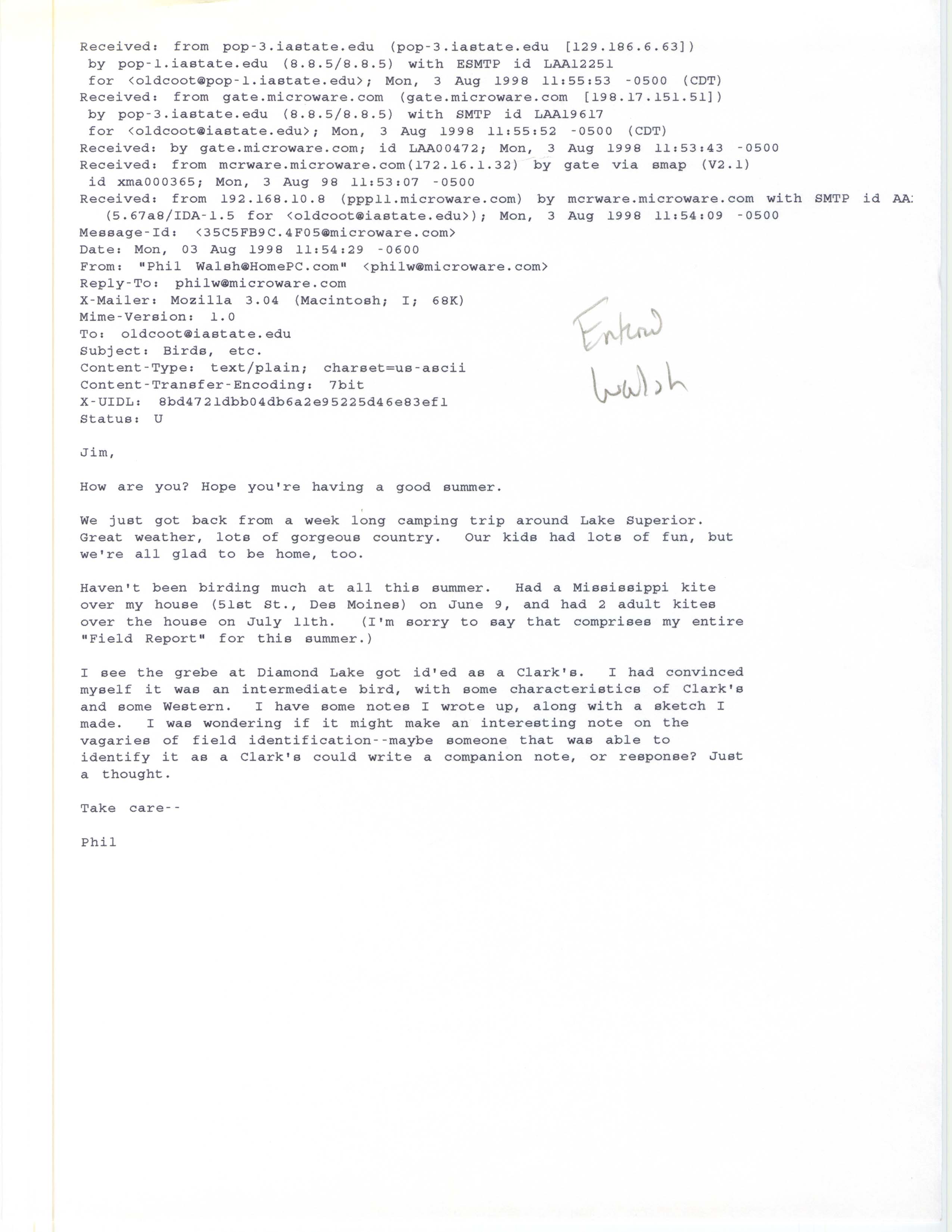 Phil Walsh email to Jim Dinsmore regarding Mississippi Kite sightings, August 3, 1998