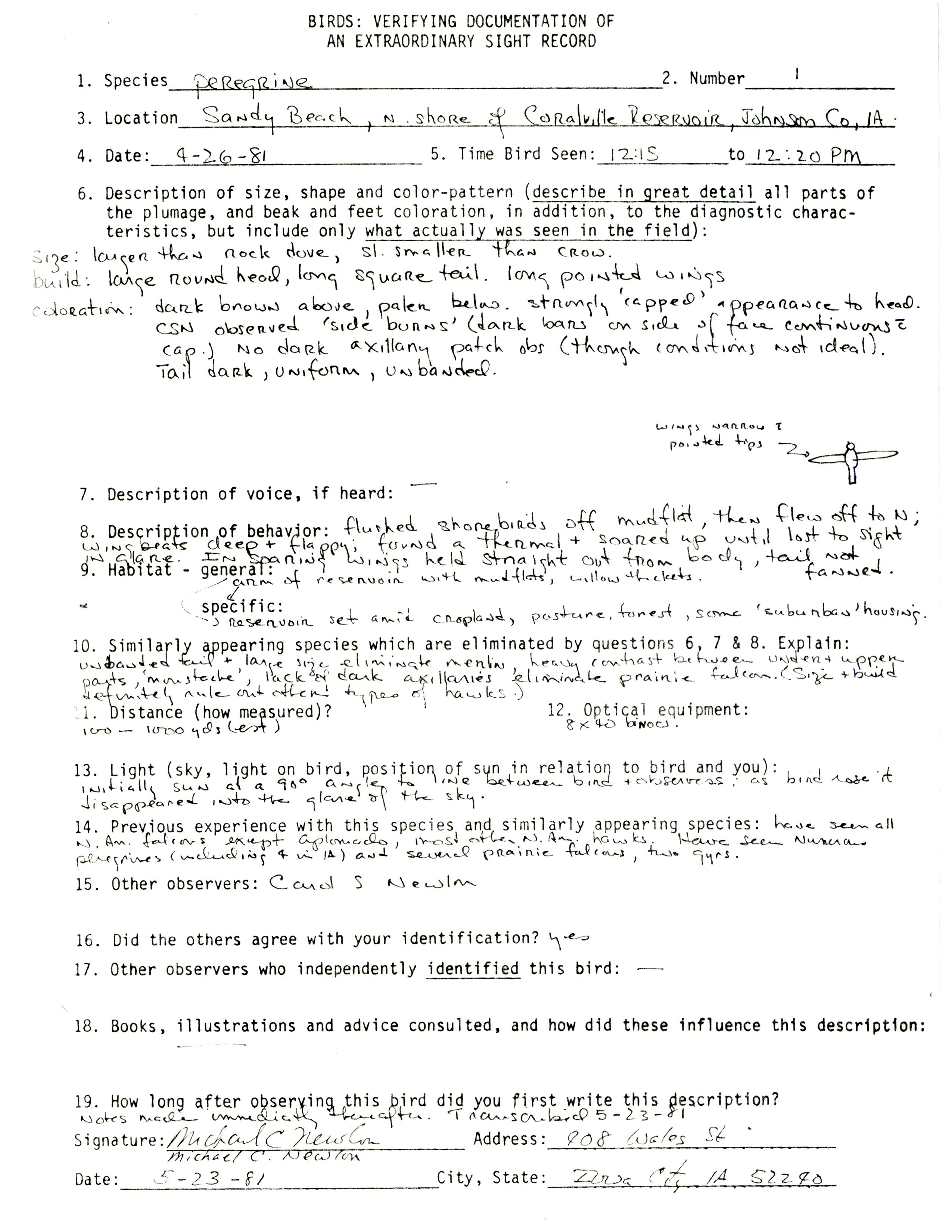 Rare bird documentation form for Peregrine Falcon at Sandy Beach at Coralville Reservoir, 1981
