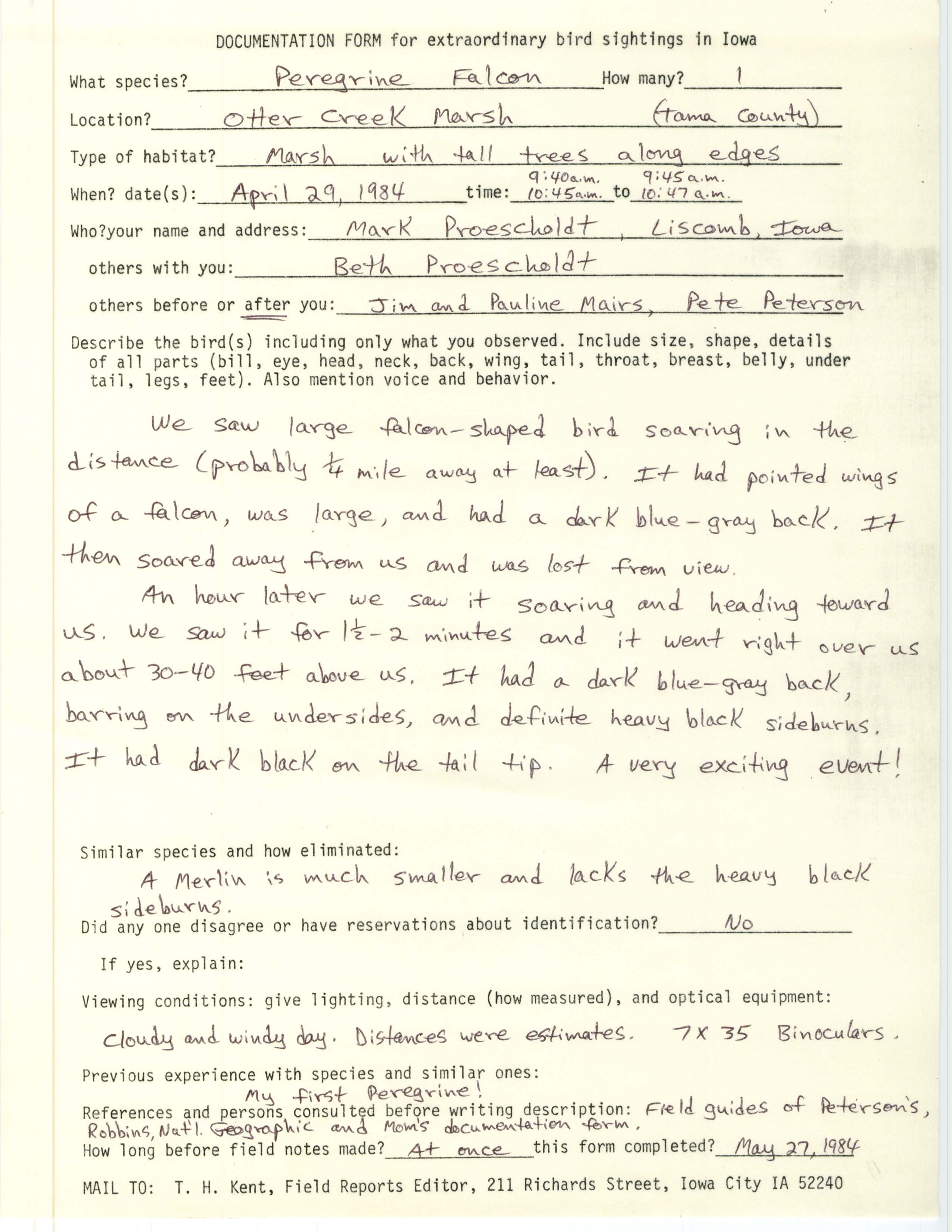 Rare bird documentation form for Peregrine Falcon at Otter Creek Marsh, 1984