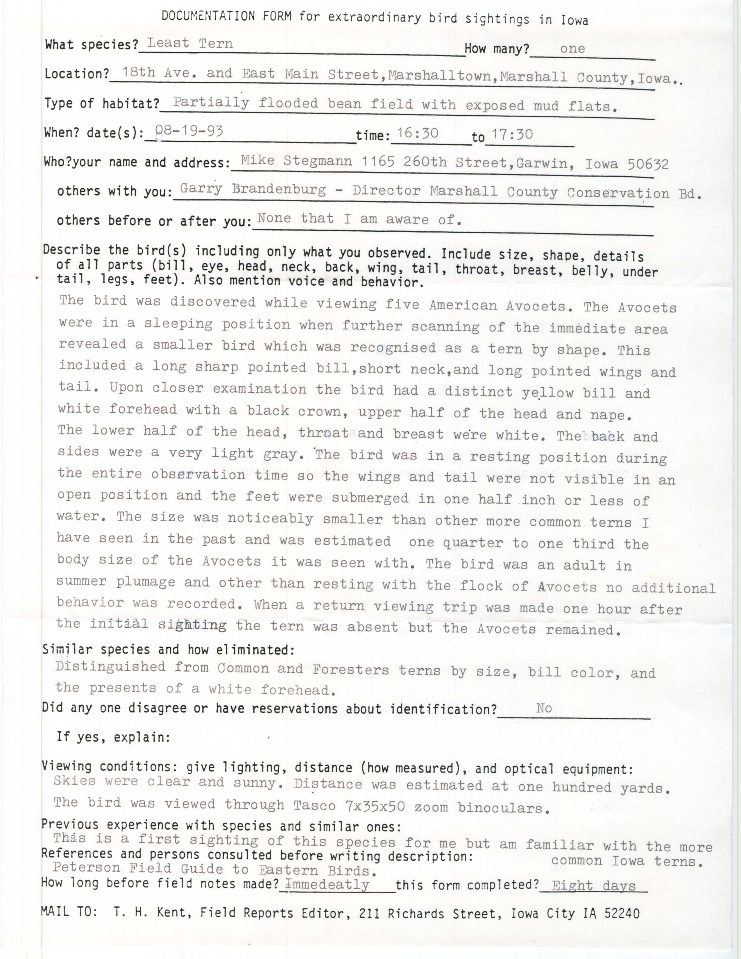 Rare bird documentation form for Least Tern at Marshalltown, 1993
