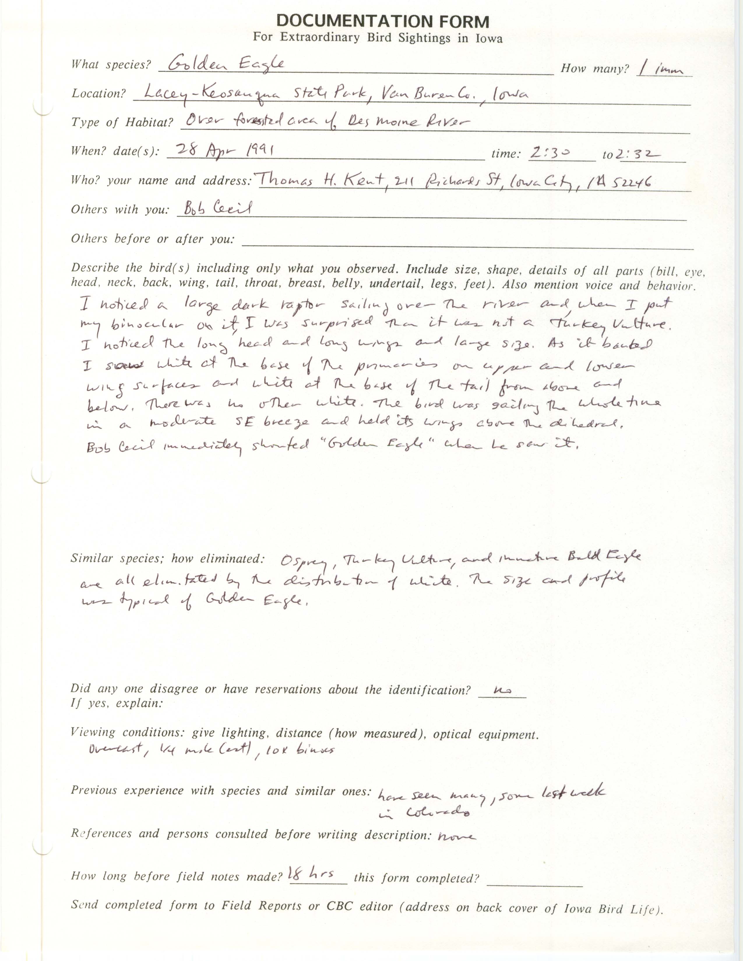 Rare bird documentation form for Golden Eagle at Lacey-Keosauqua State Park, 1991