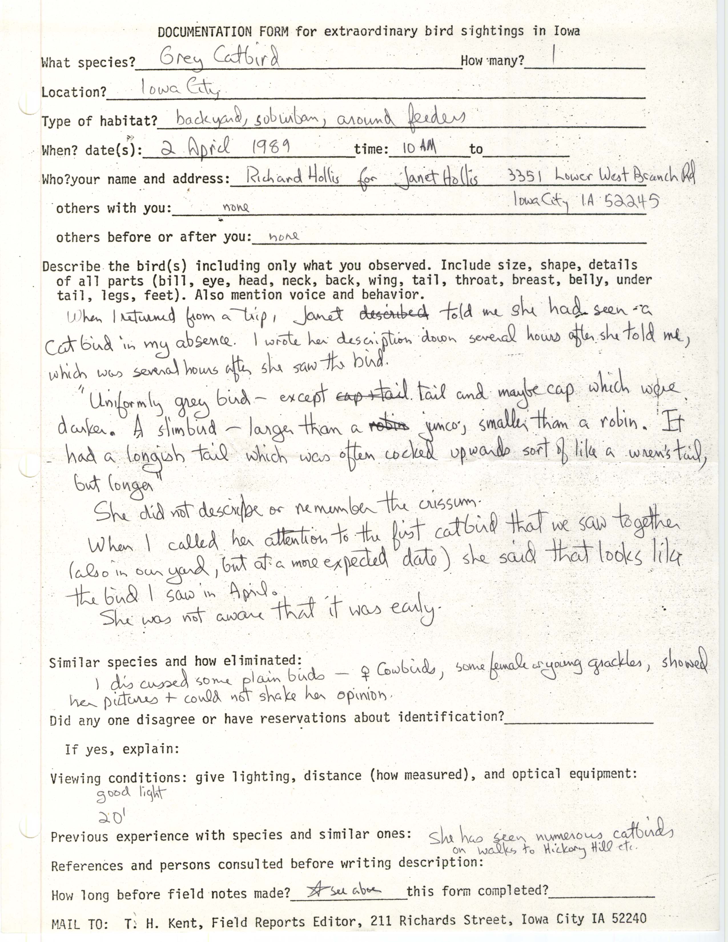 Rare bird documentation form for Gray Catbird at Iowa City, 1989