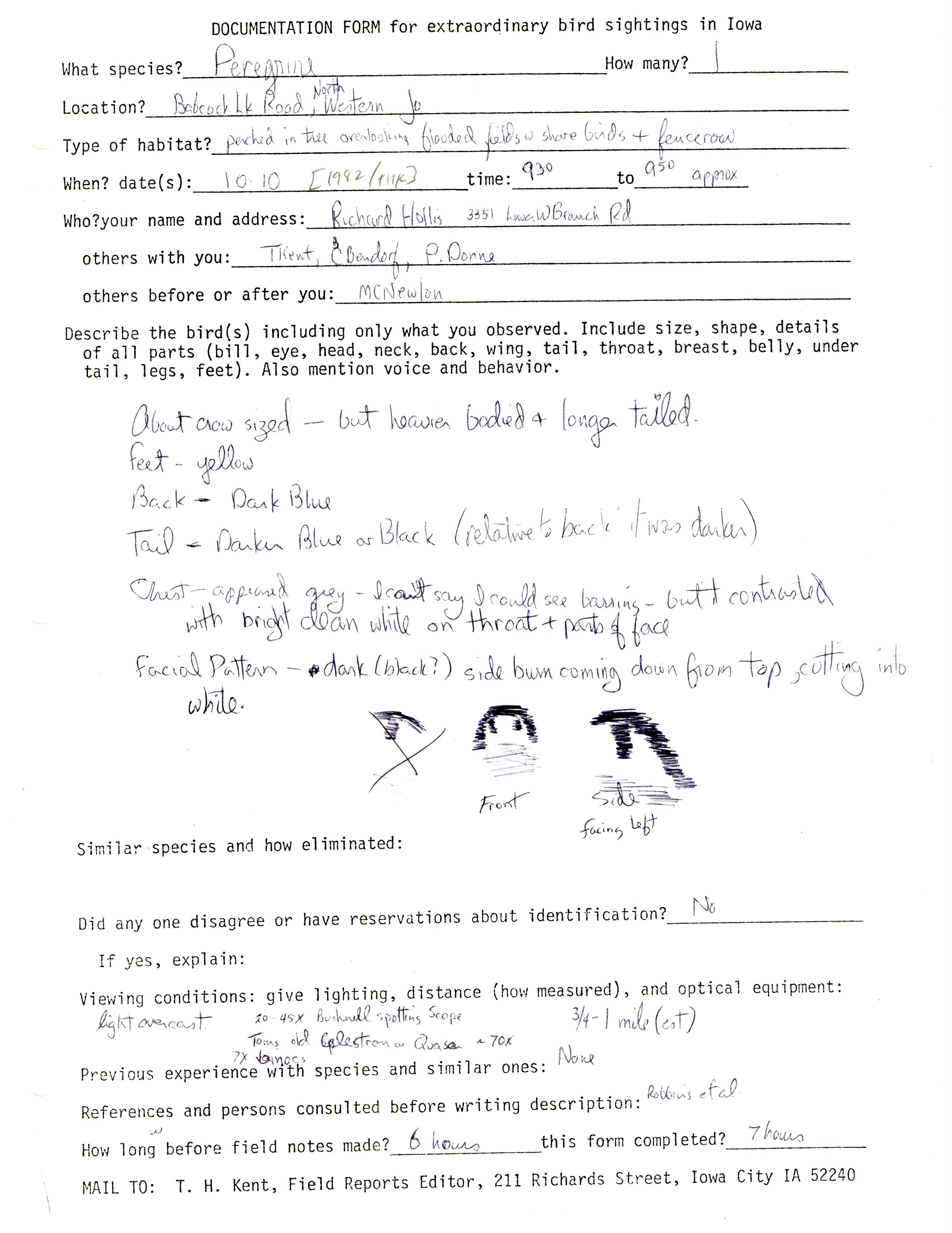 Rare bird documentation form for Peregrine Falcon at Babcock Access, 1982