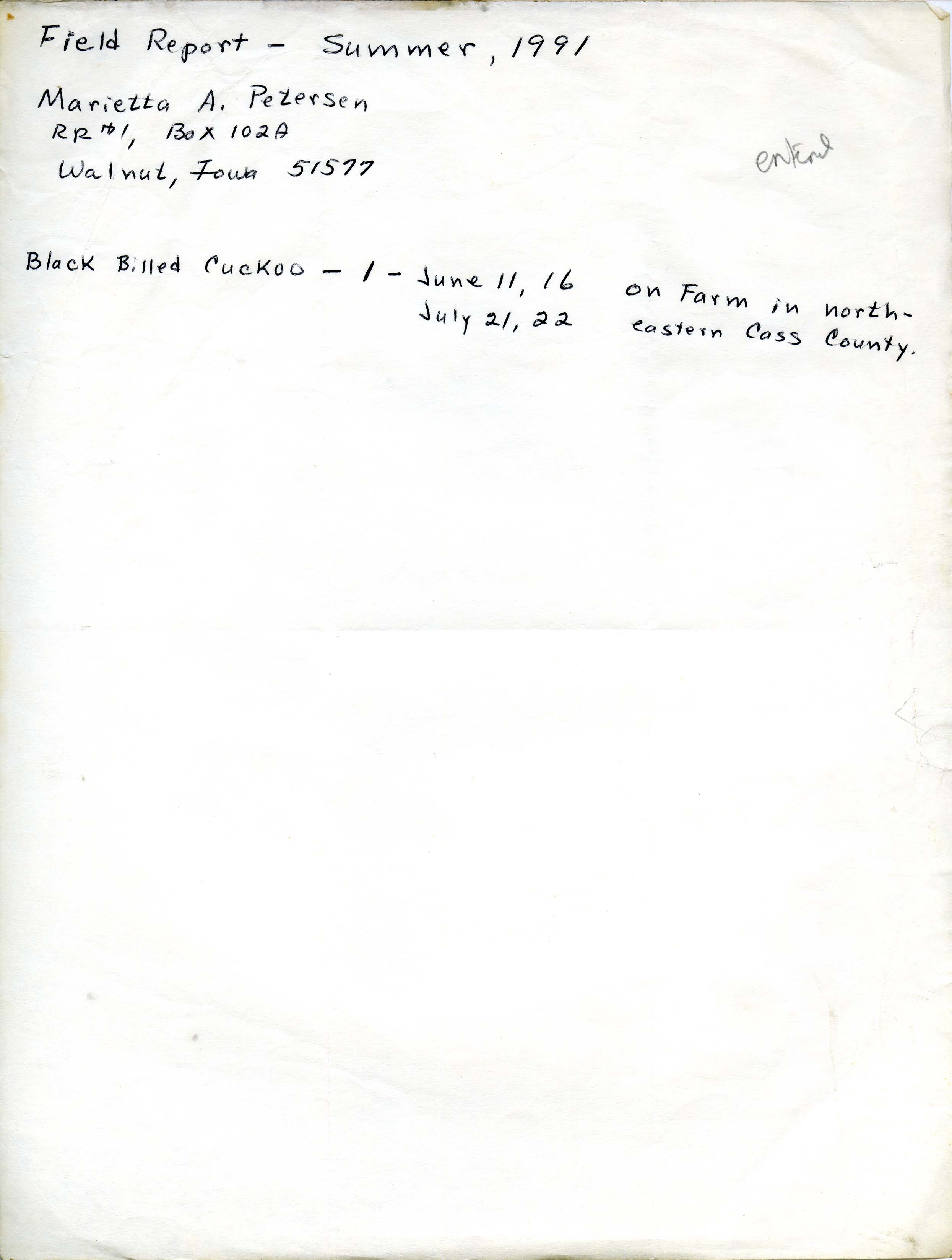 Field notes contributed by Marietta Petersen, summer 1991