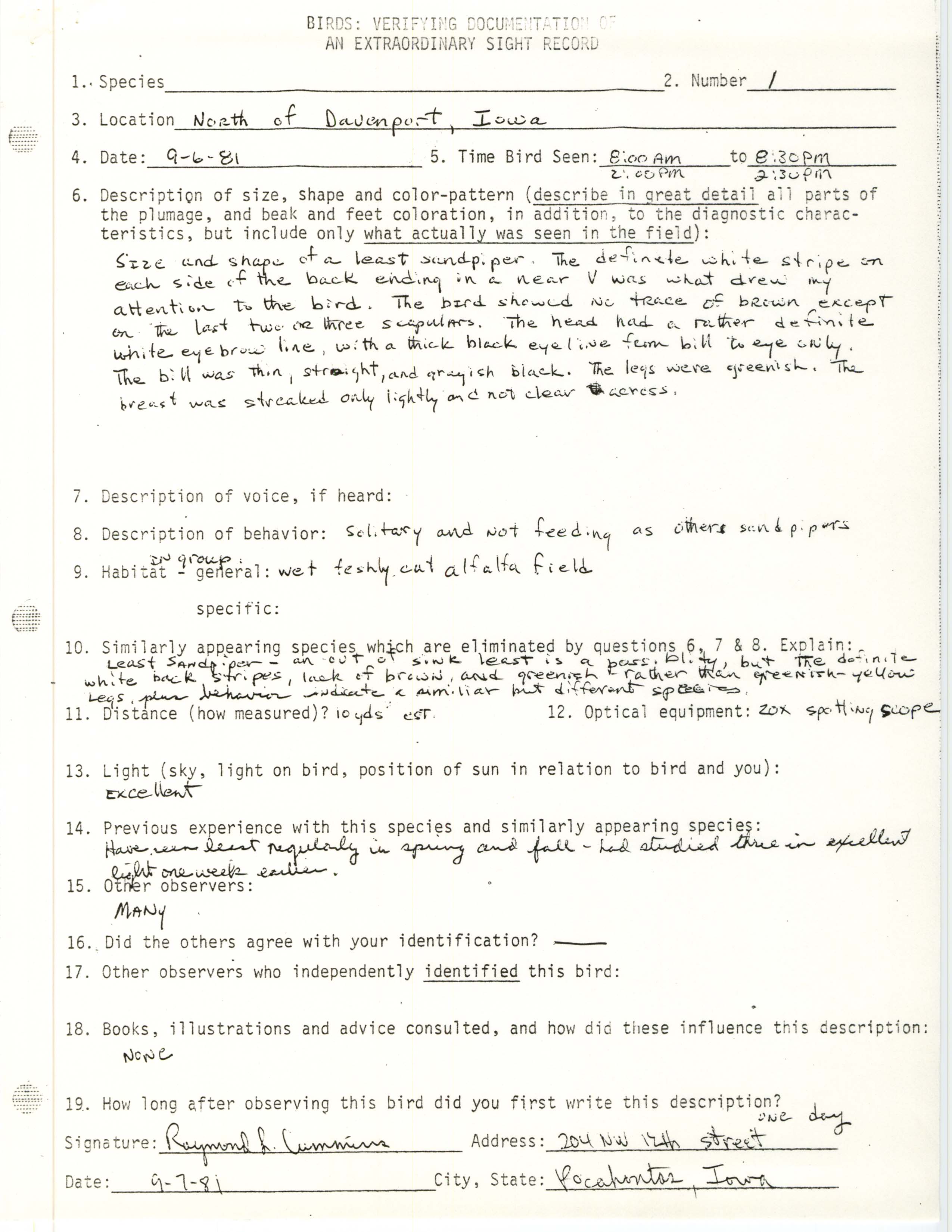 Rare bird documentation form for Long-toed Stint north of Davenport in 1981