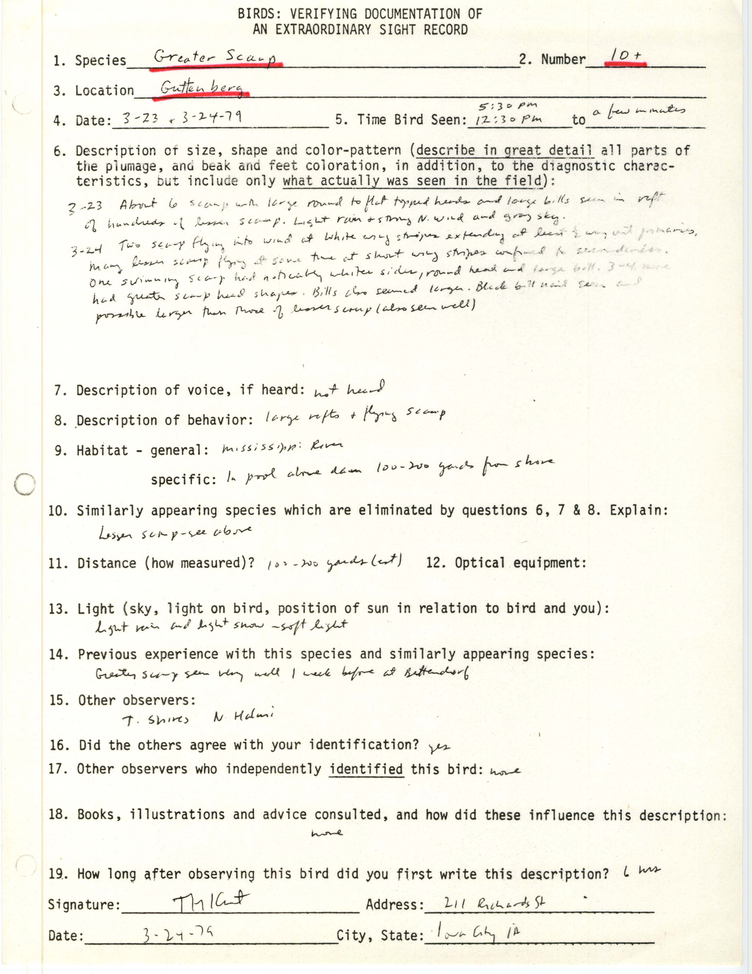 Rare bird documentation form for Greater Scaup at Guttenberg in 1979