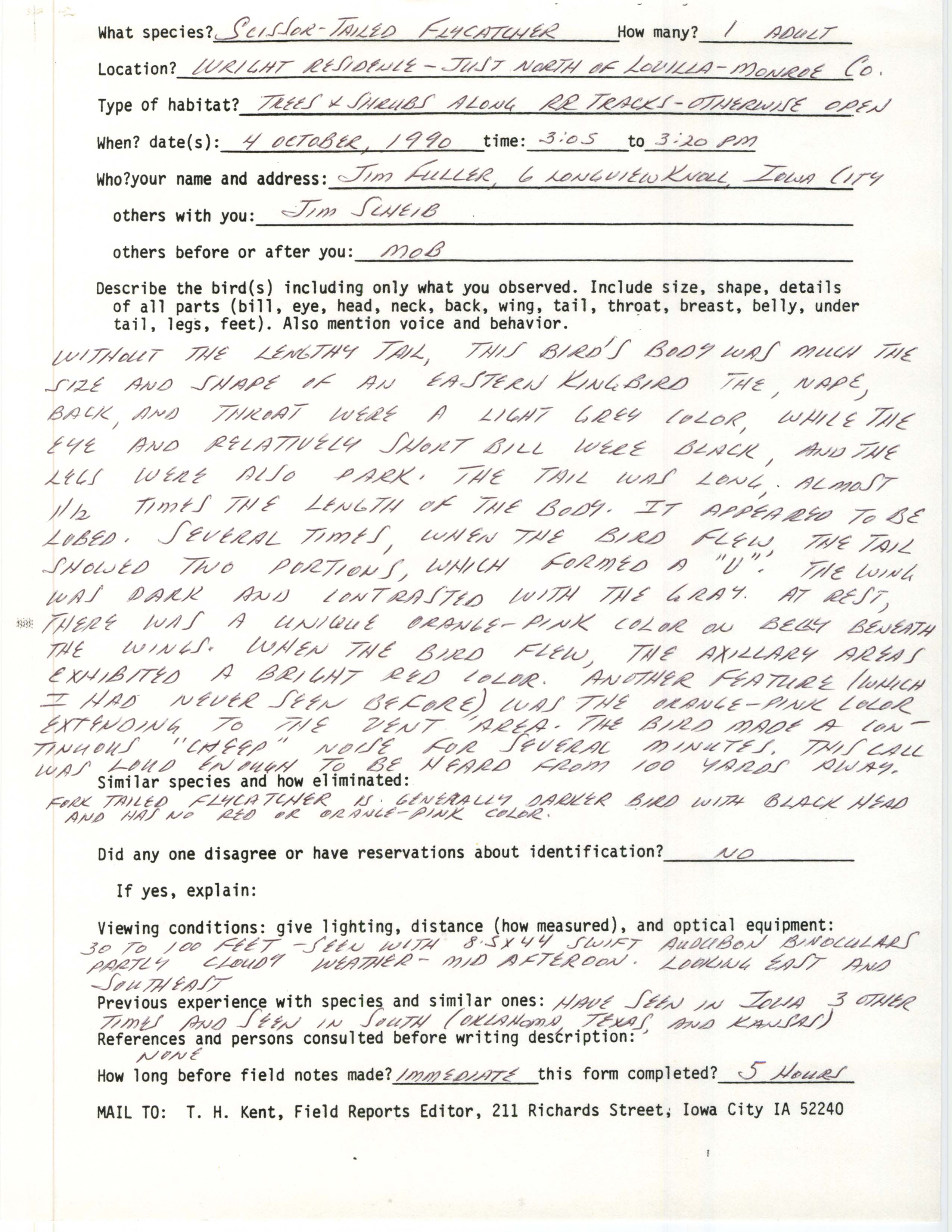 Rare bird documentation form for Scissor-tailed Flycatcher north of Lovilia, 1990