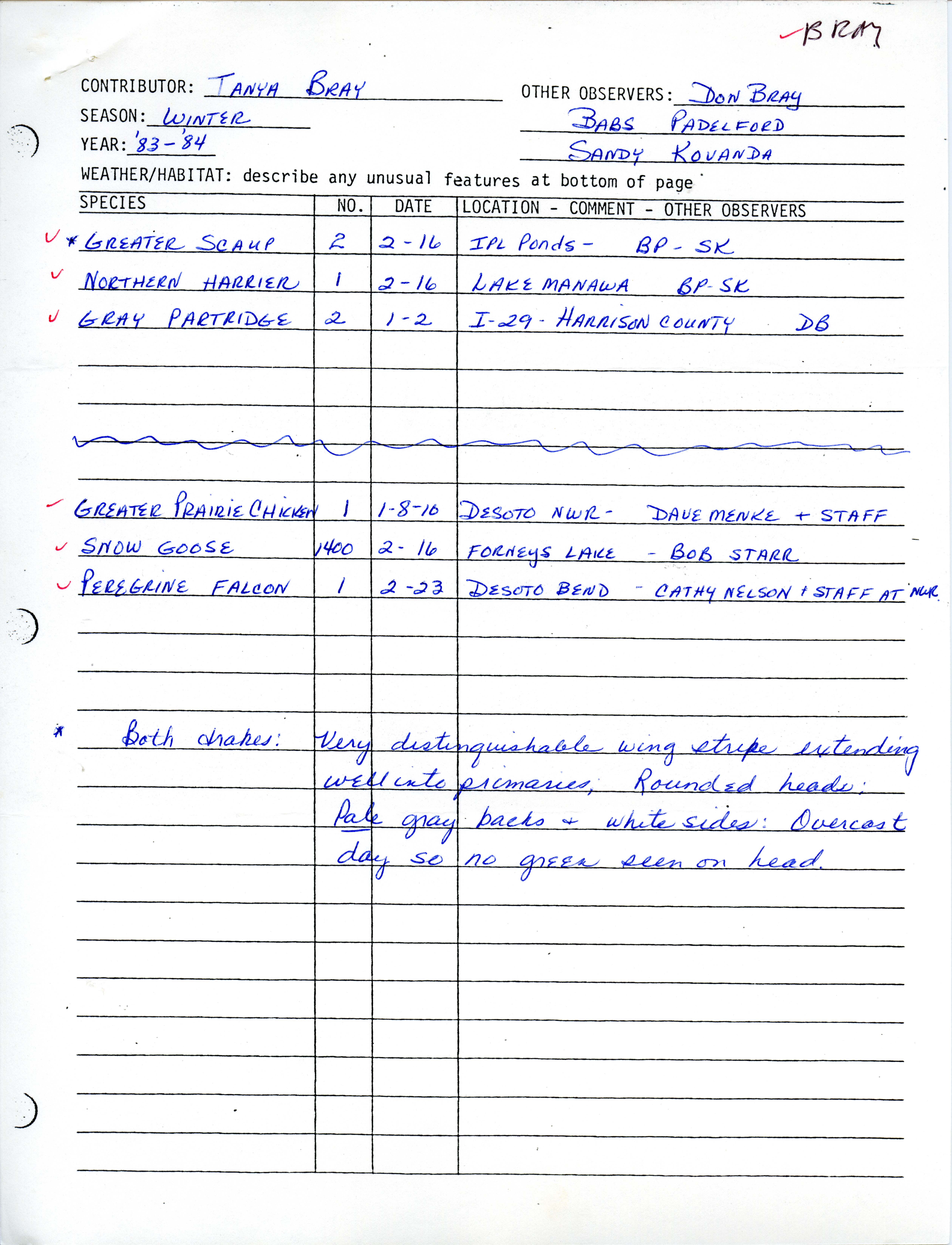 Field notes contributed by Tanya Bray, winter 1983-1984