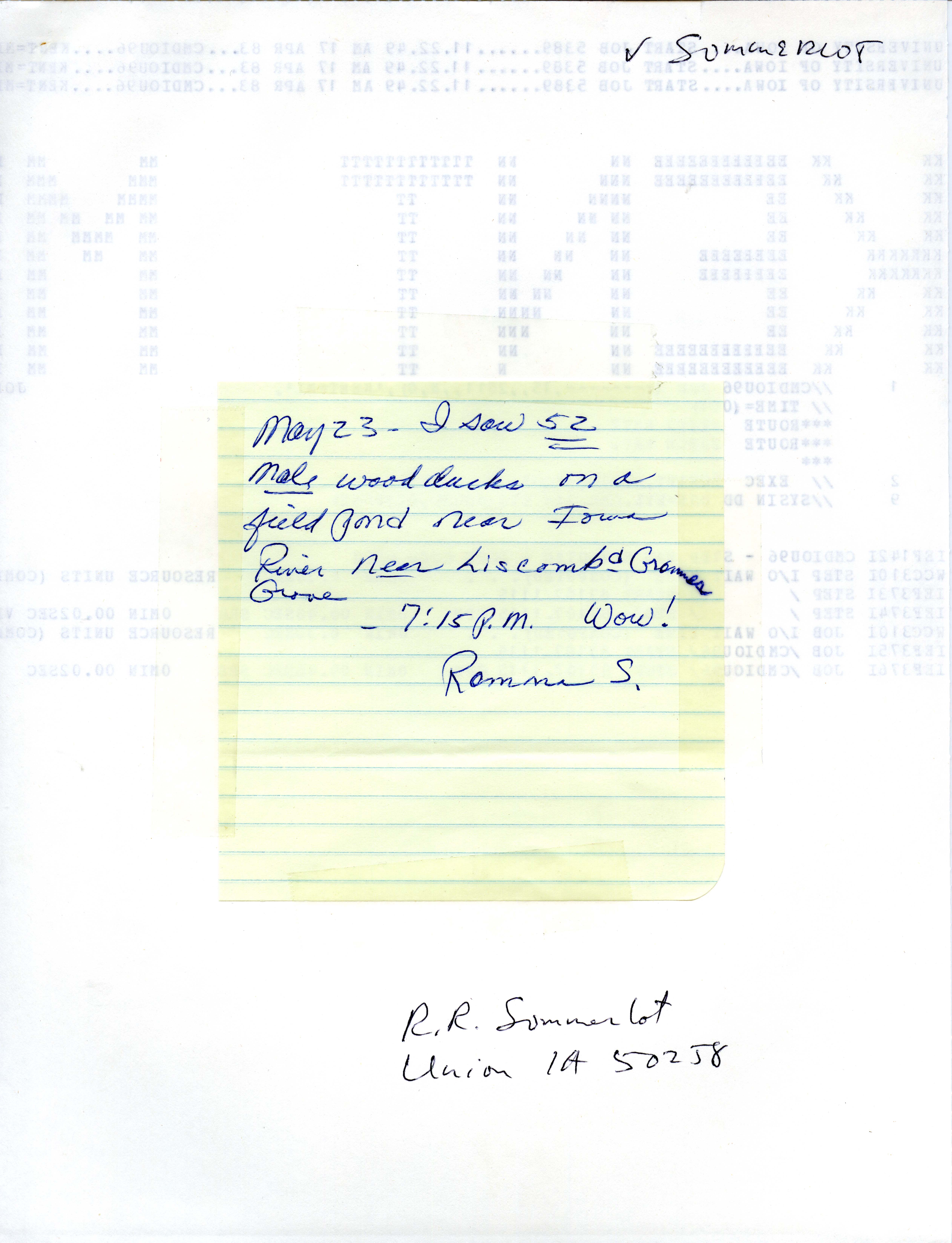 Field note about a Wood Duck sighting contributed by Ramona R. Sommerlot, May 23, 1983