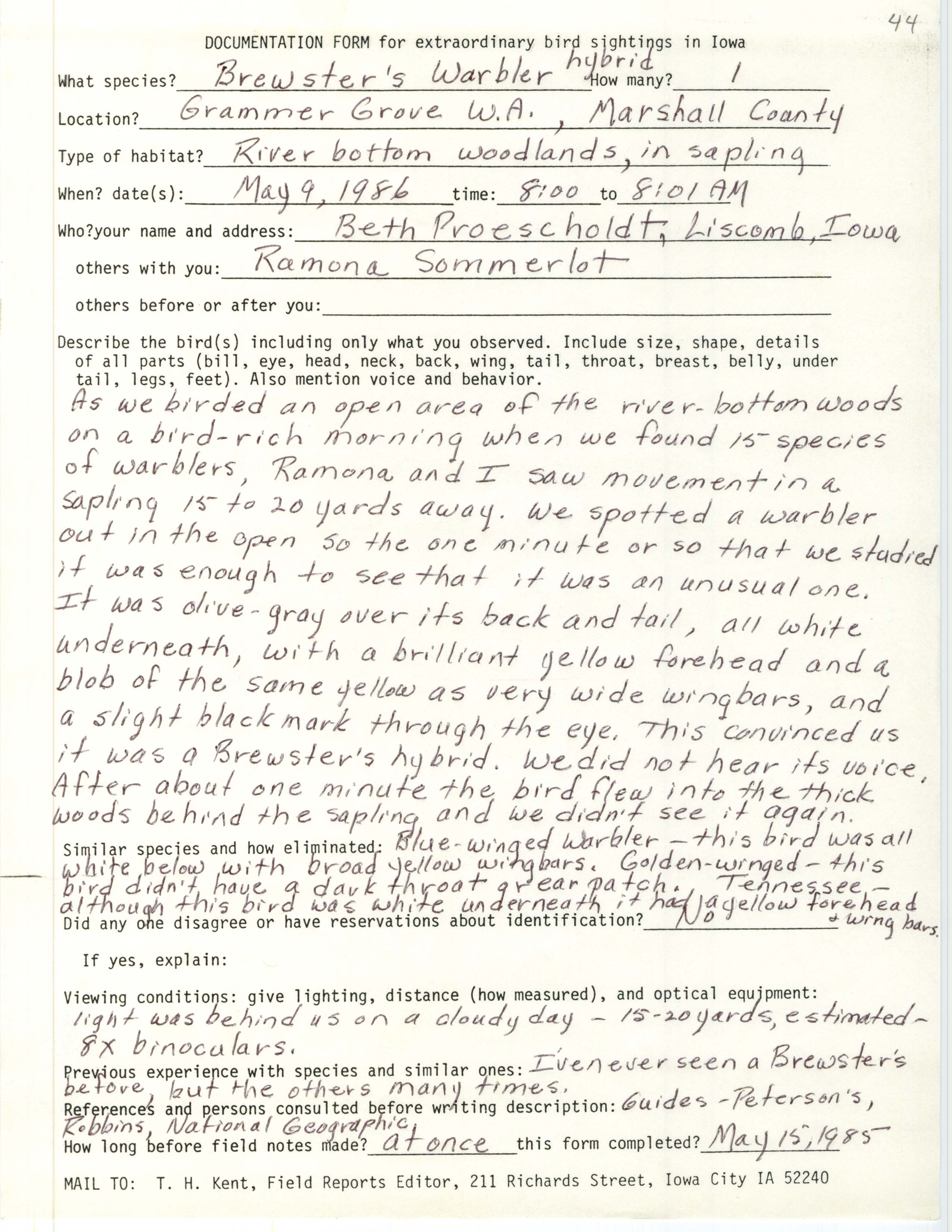 Rare bird documentation form for Brewster's Warbler at Grammer Grove Wildlife Area, 1986