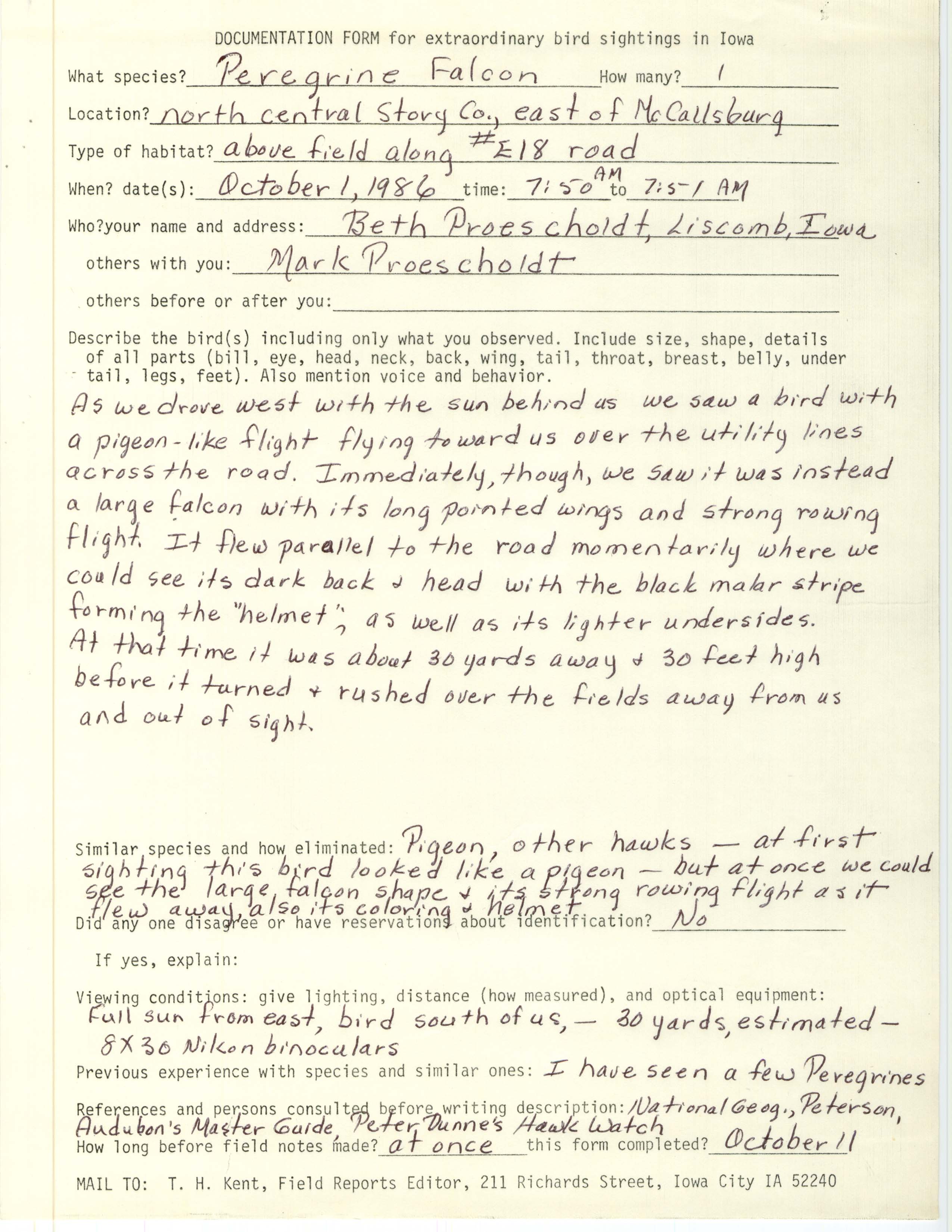 Rare bird documentation form for Peregrine Falcon east of McCallsburg, 1986