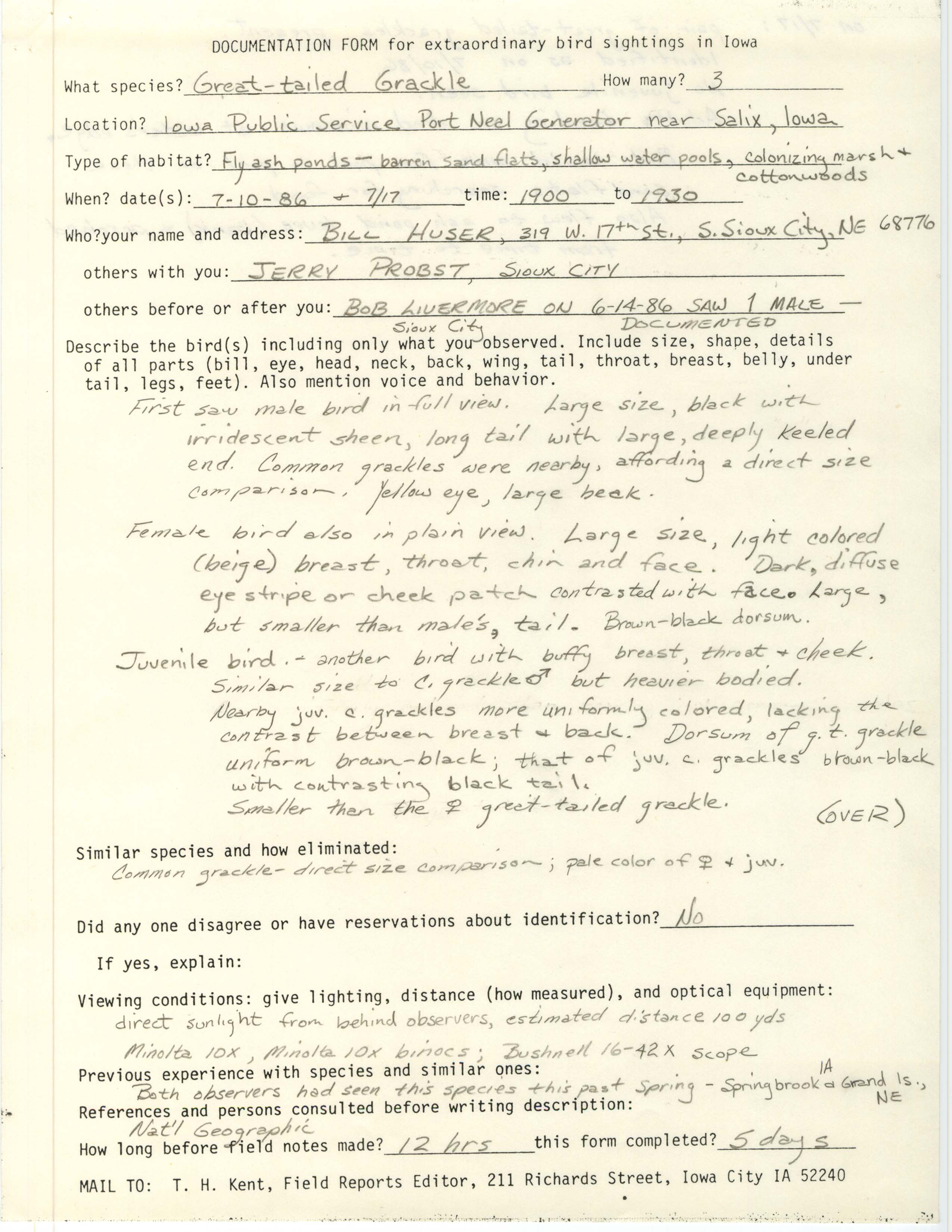 Rare bird documentation form for Great-tailed Grackle at the Port Neal generators near Salix in 1986