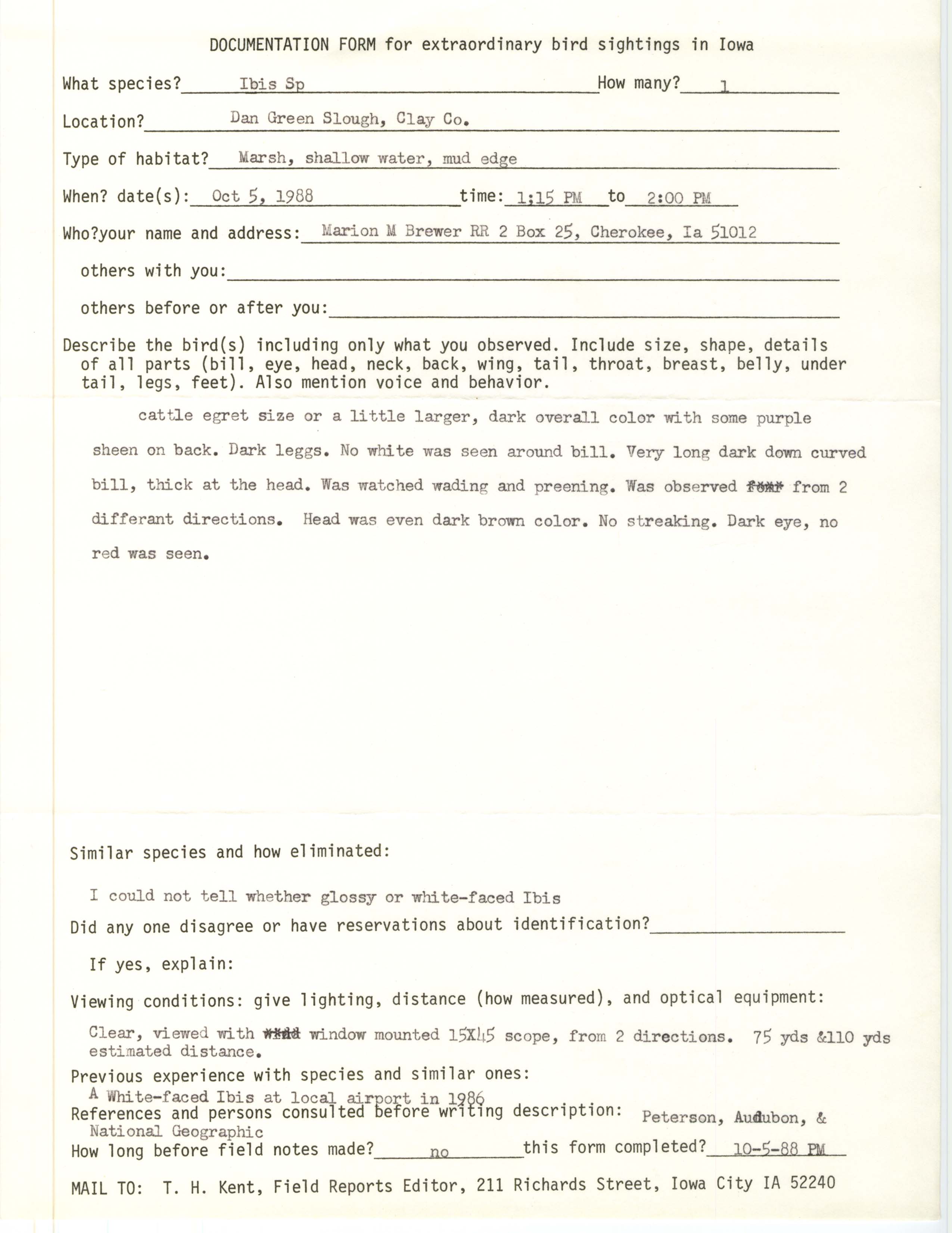 Rare bird documentation form for Ibis species at Dan Green Slough at Clay County, 1988