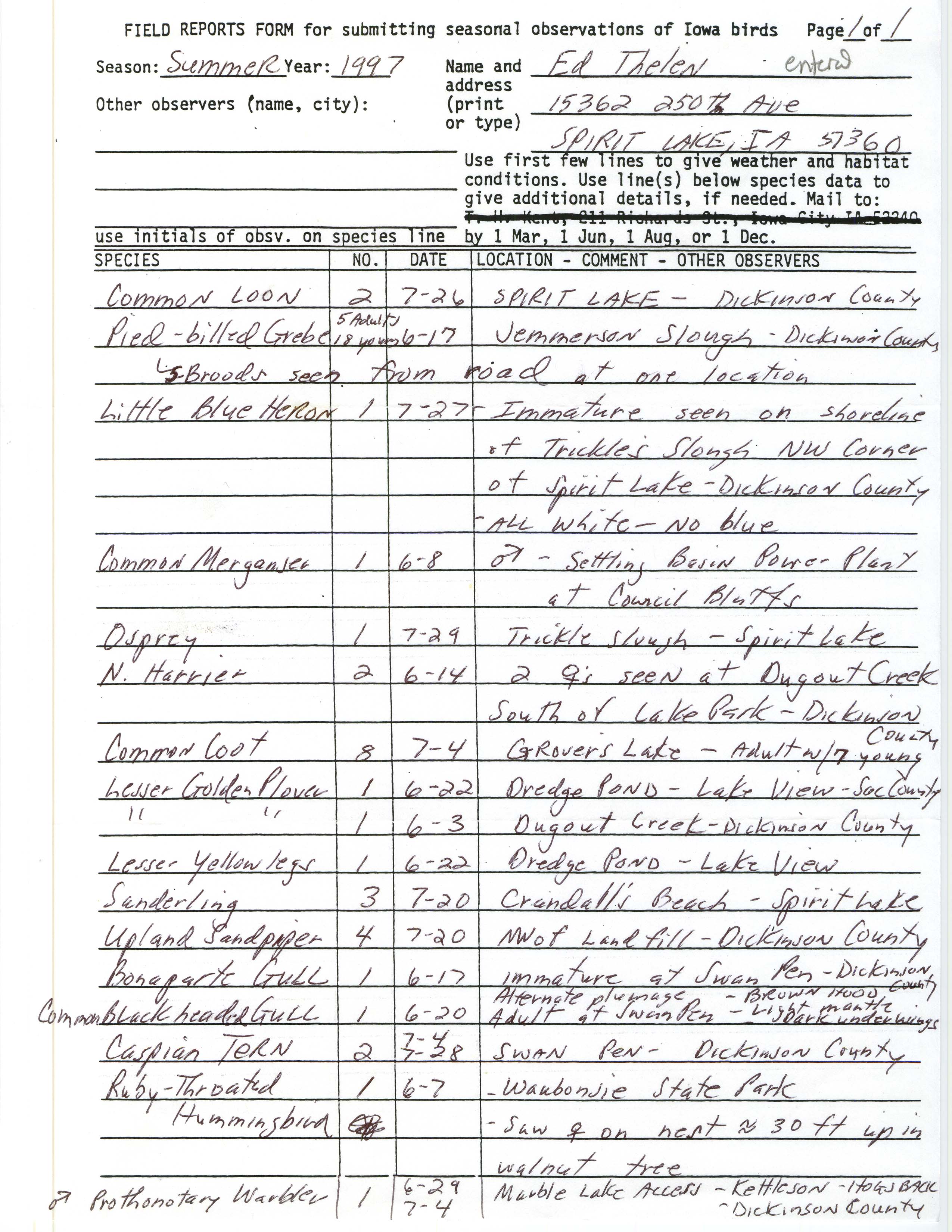 Field reports form for submitting seasonal observations of Iowa birds, Ed Thelen, summer 1997