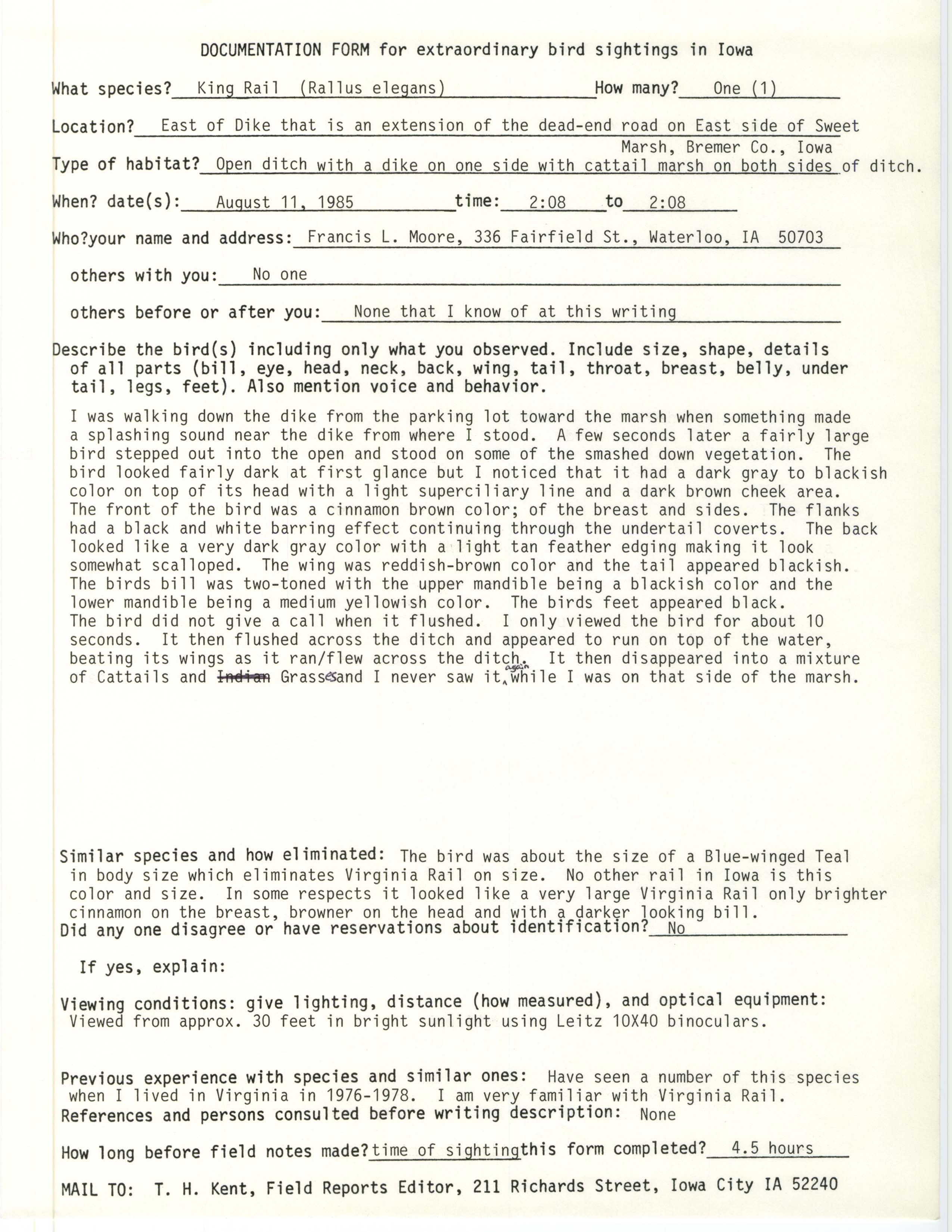 Rare bird documentation form for King Rail at Sweet Marsh, 1985
