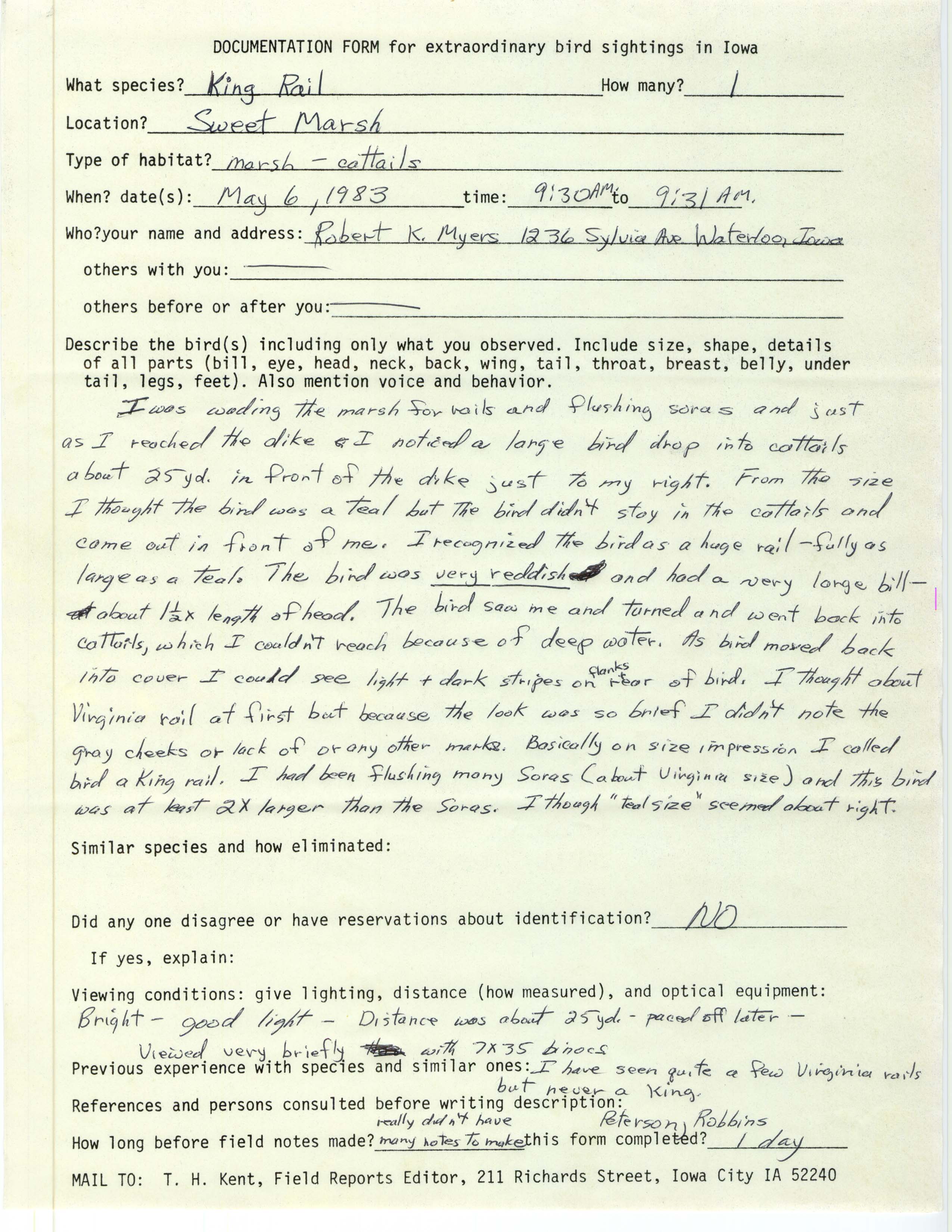 Rare bird documentation form for King Rail at Sweet Marsh, 1983