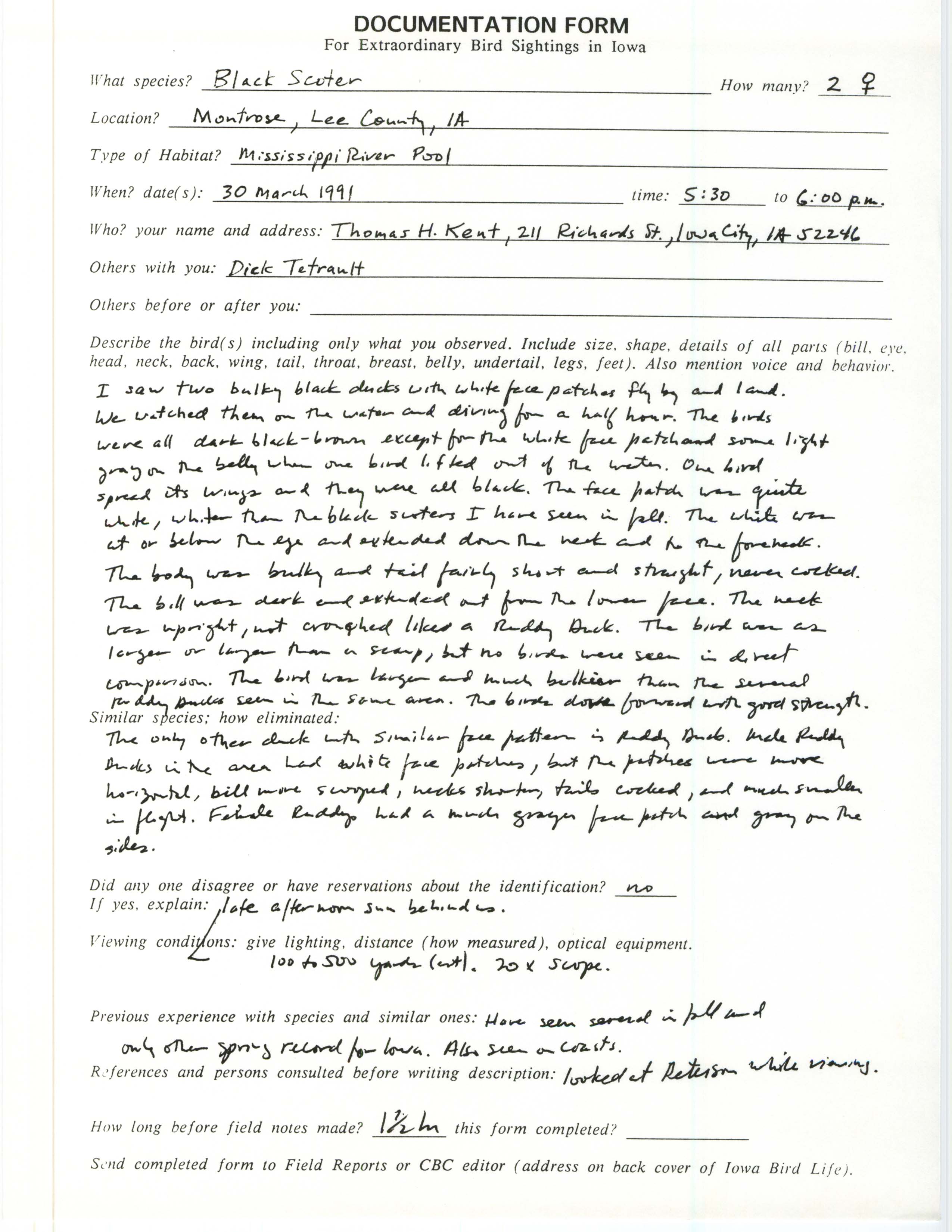 Rare bird documentation form for Black Scoter at Montrose, 1991