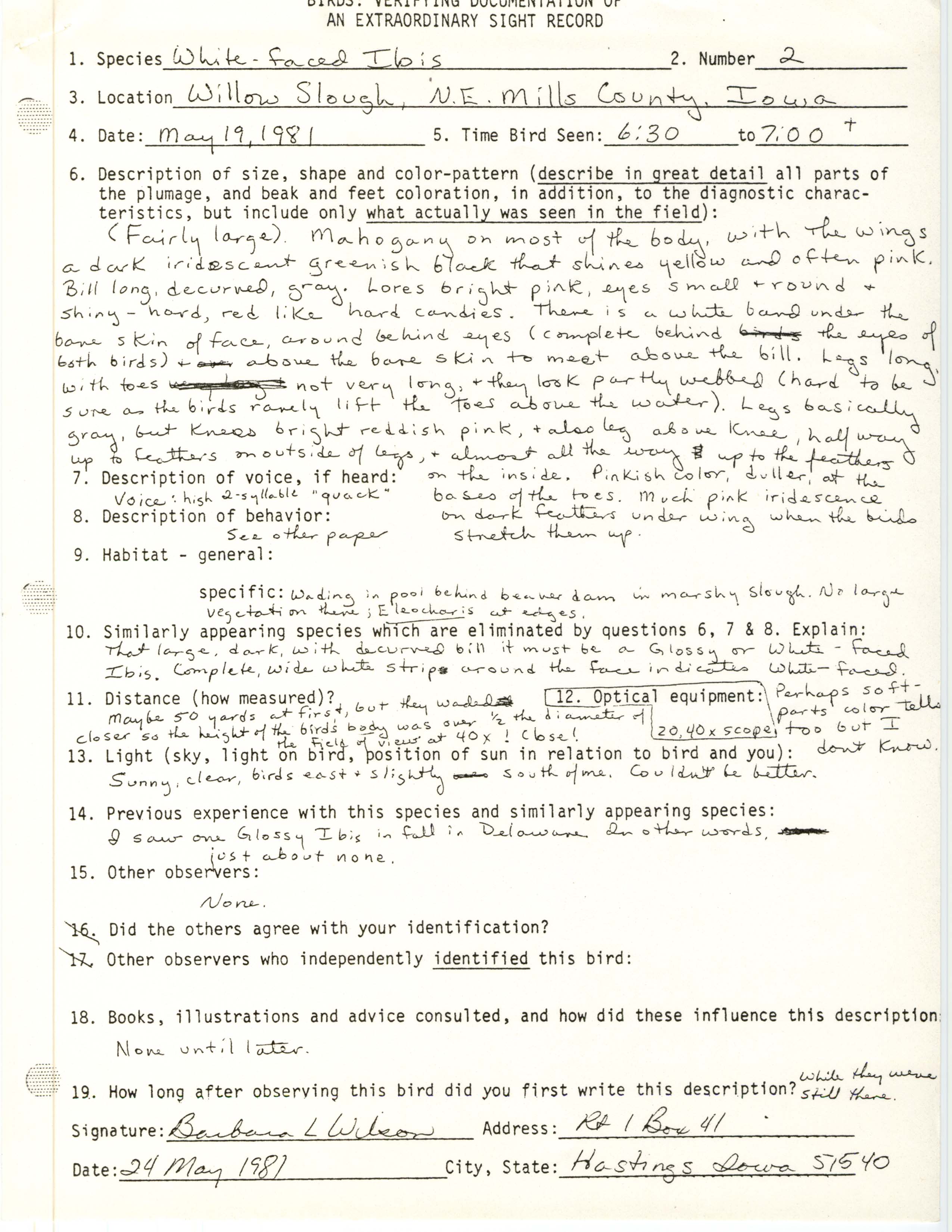 Rare bird documentation form for White-faced Ibis at Willow Slough, 1981