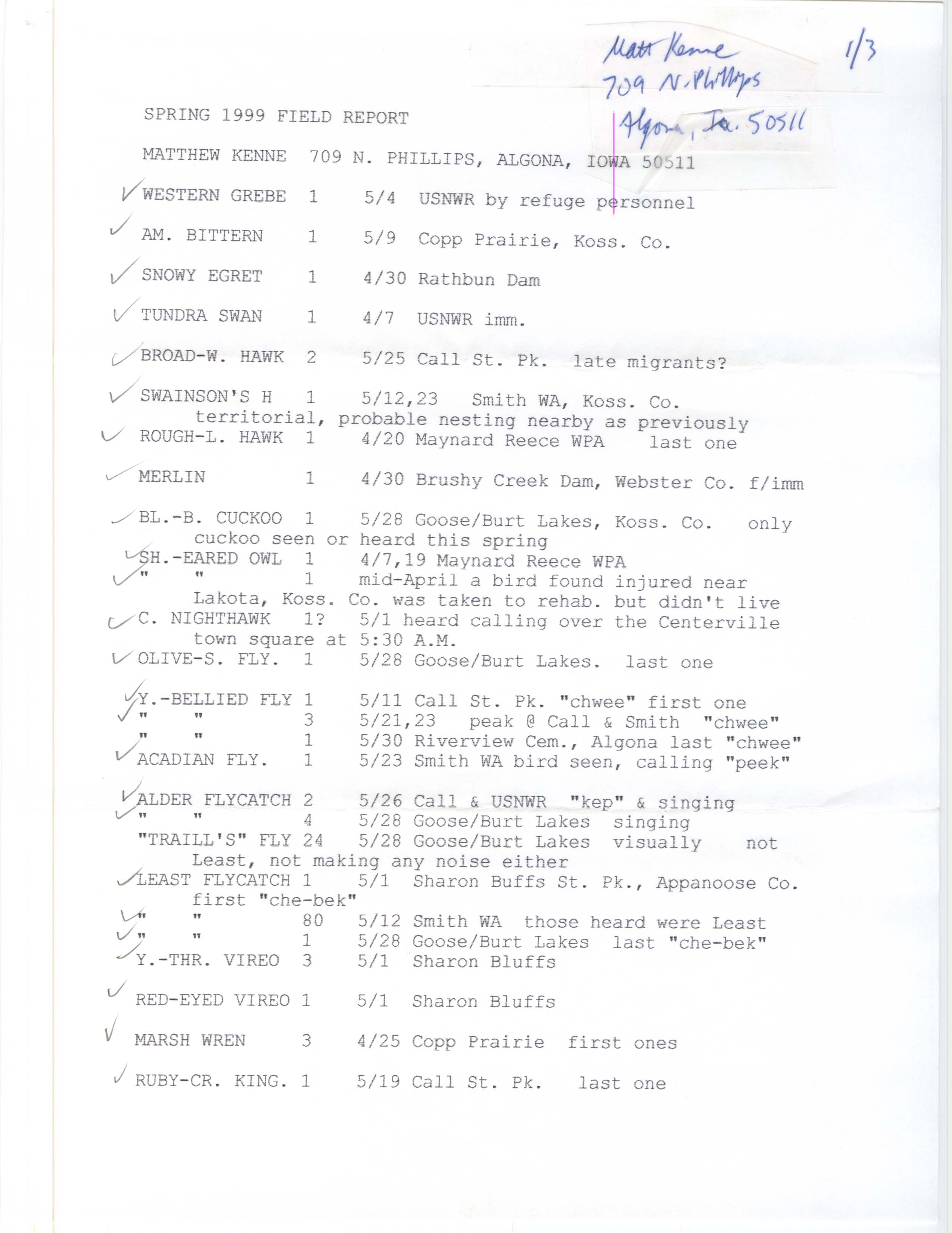 Spring 1999 field report, Matt Kenne
