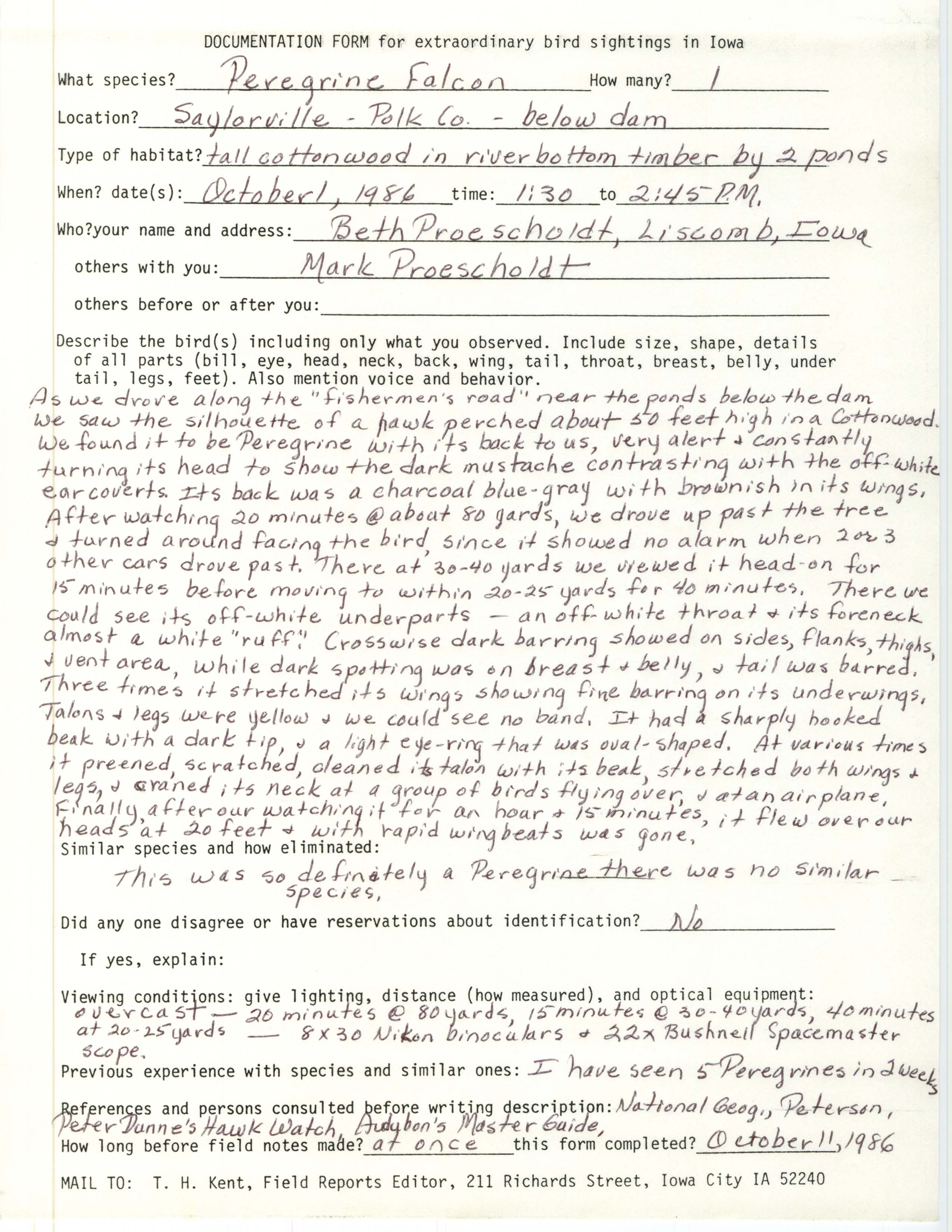 Rare bird documentation form for Peregrine Falcon at Saylorville, 1986