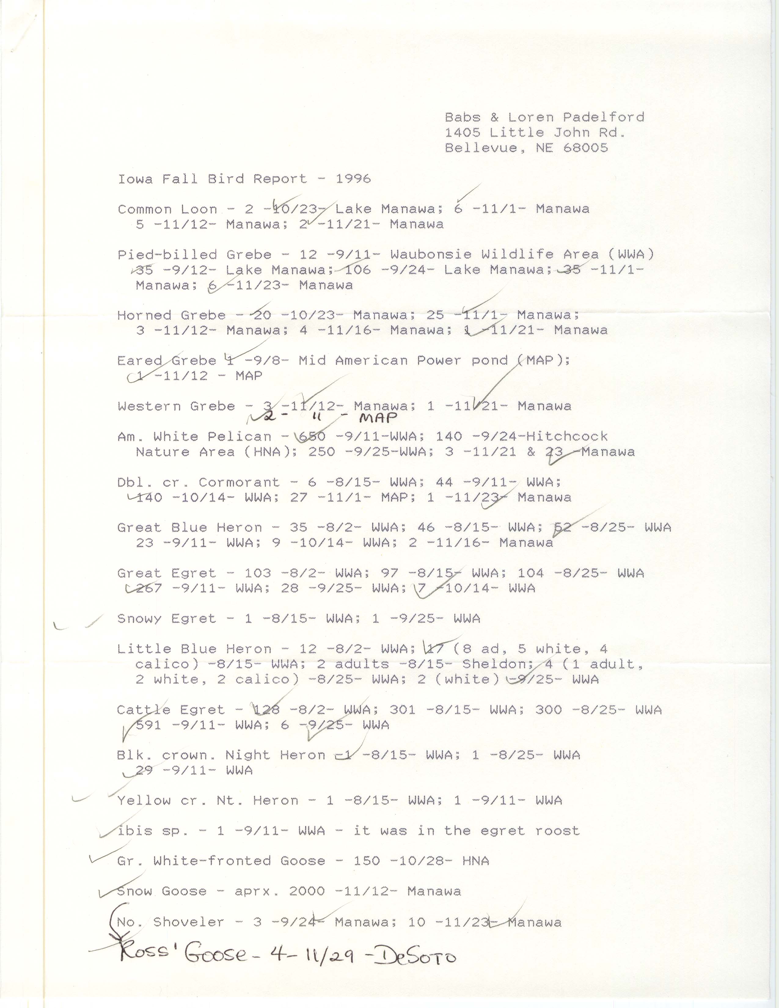 Field notes contributed by Babs Padelford and Loren Padelford, fall 1996