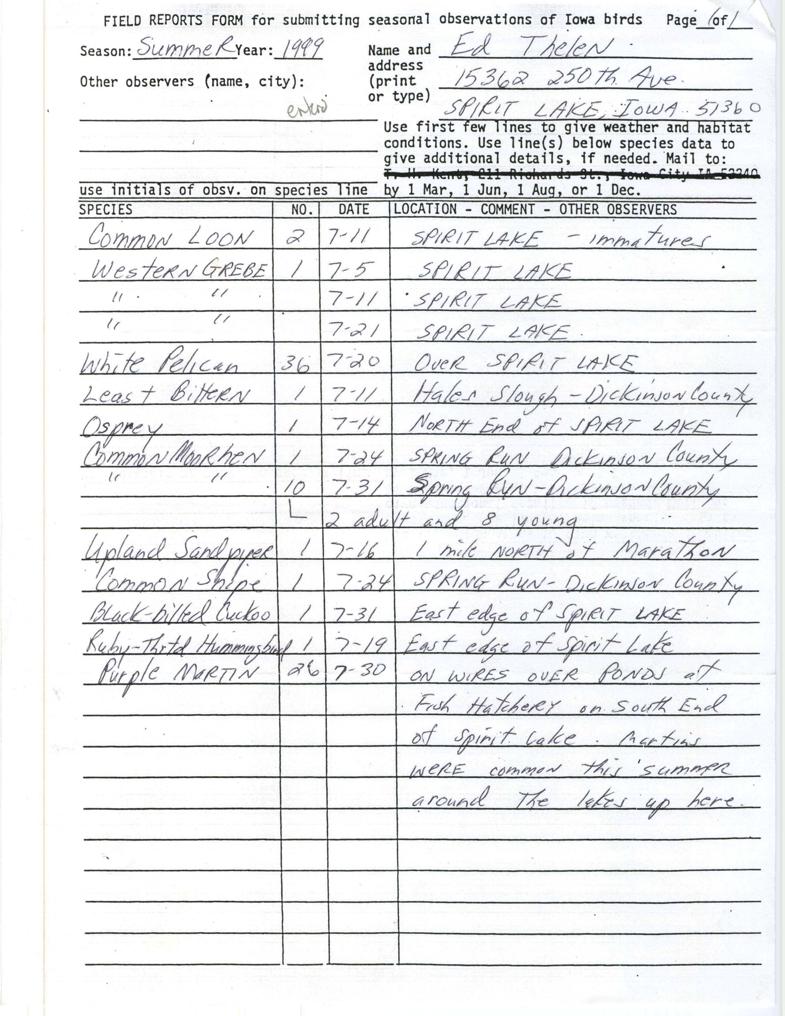 Field reports form for submitting seasonal observations of Iowa birds, summer 1999, Ed Thelen