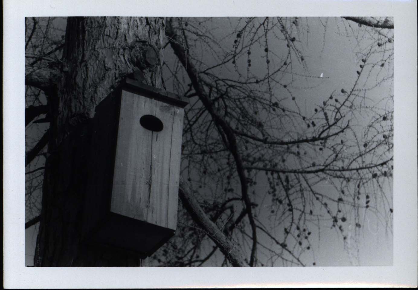 Photograph of a Wood Duck house