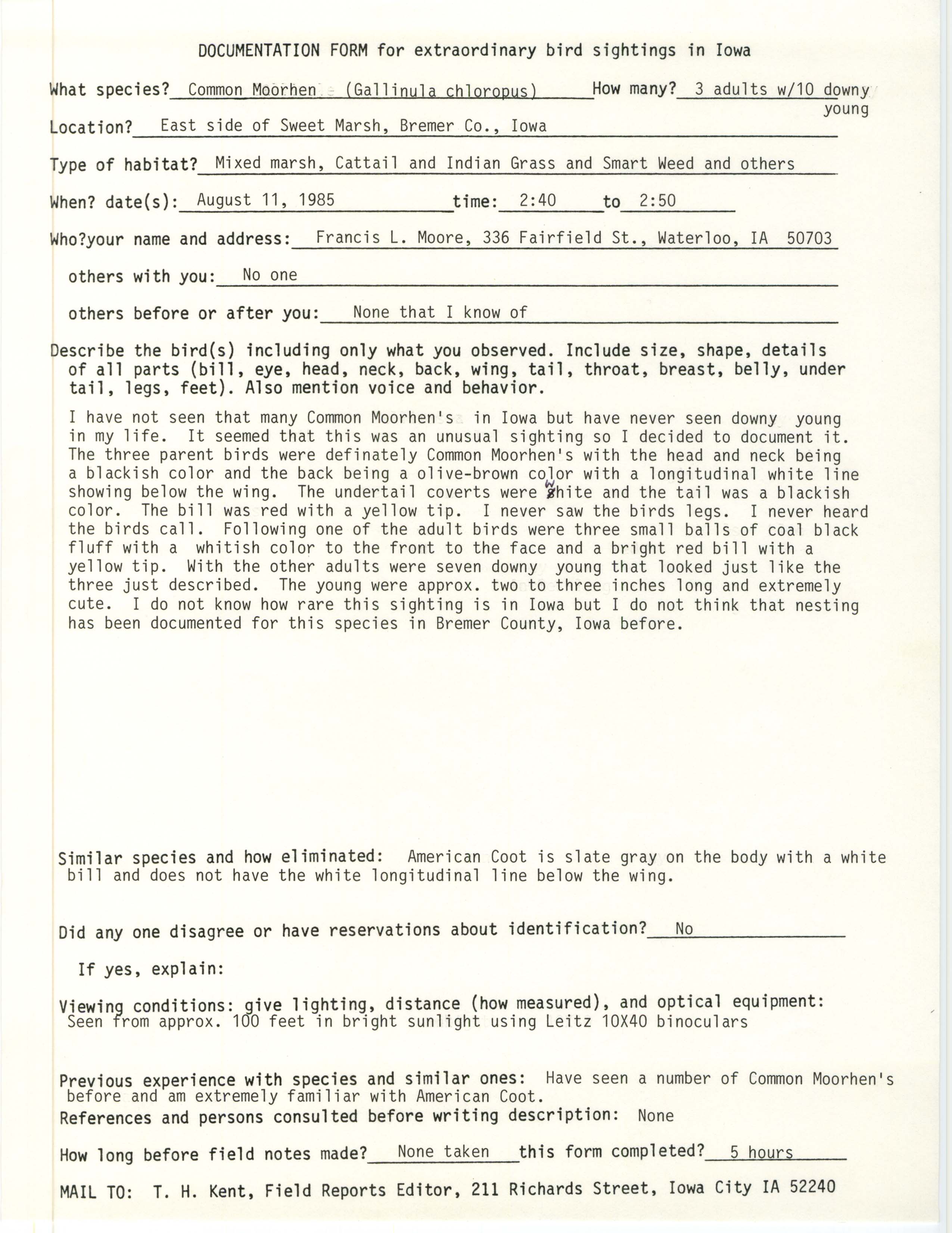 Rare bird documentation form for Common Moorhen at Sweet Marsh, 1985