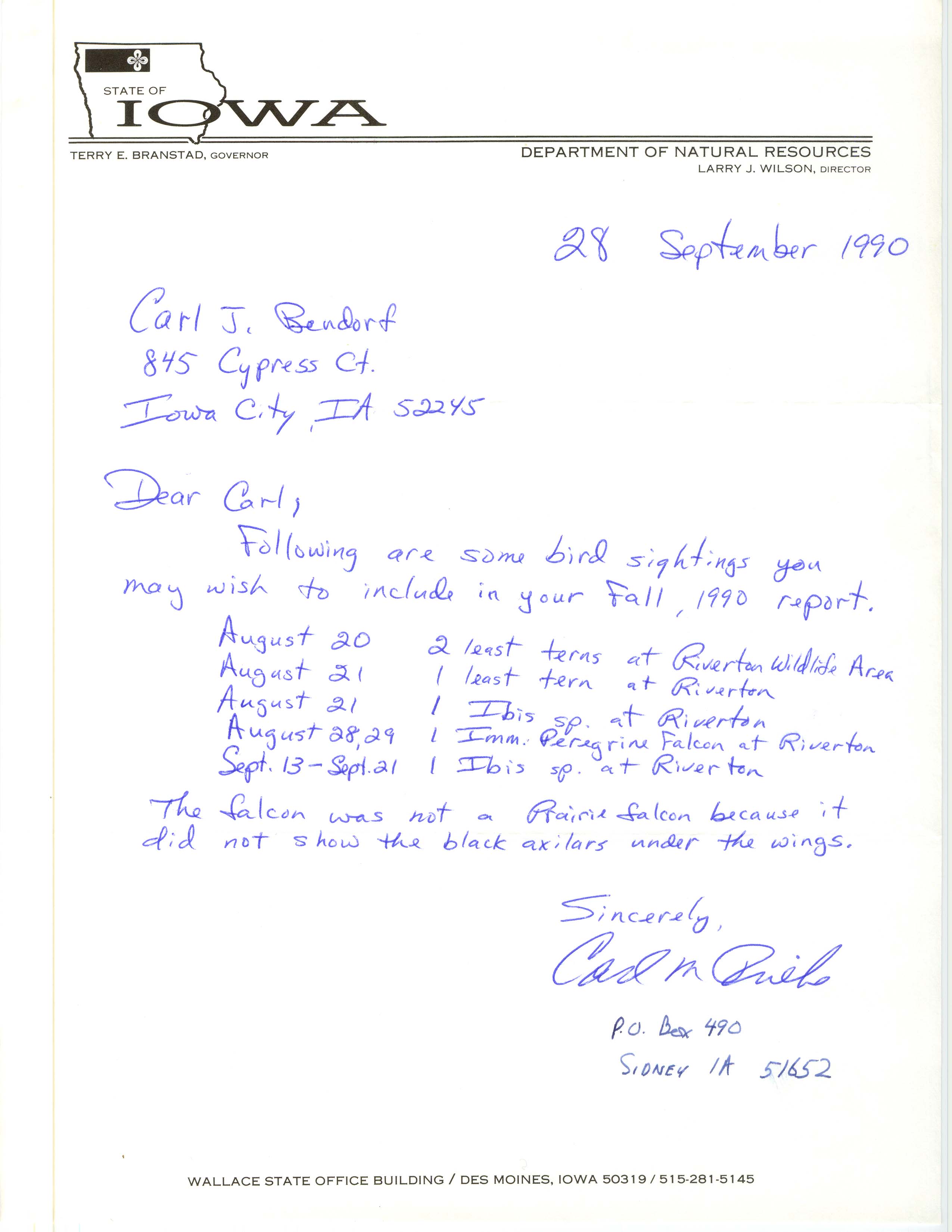 Carl Priebe letter to Carl J. Bendorf regarding bird sightings in the fall 1990, September 28, 1990