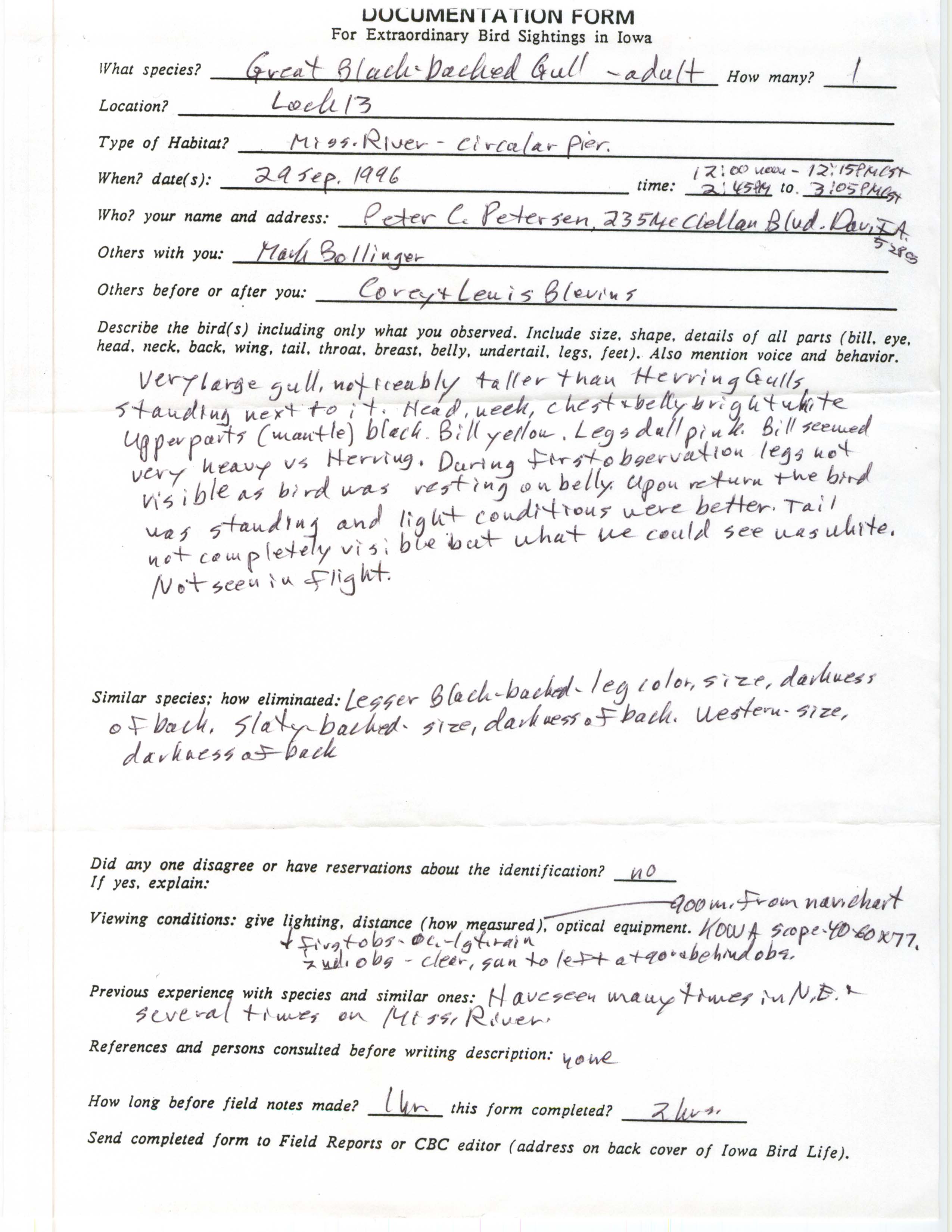 Rare bird documentation form for Great Black-backed Gull at Lock and Dam 13, 1996