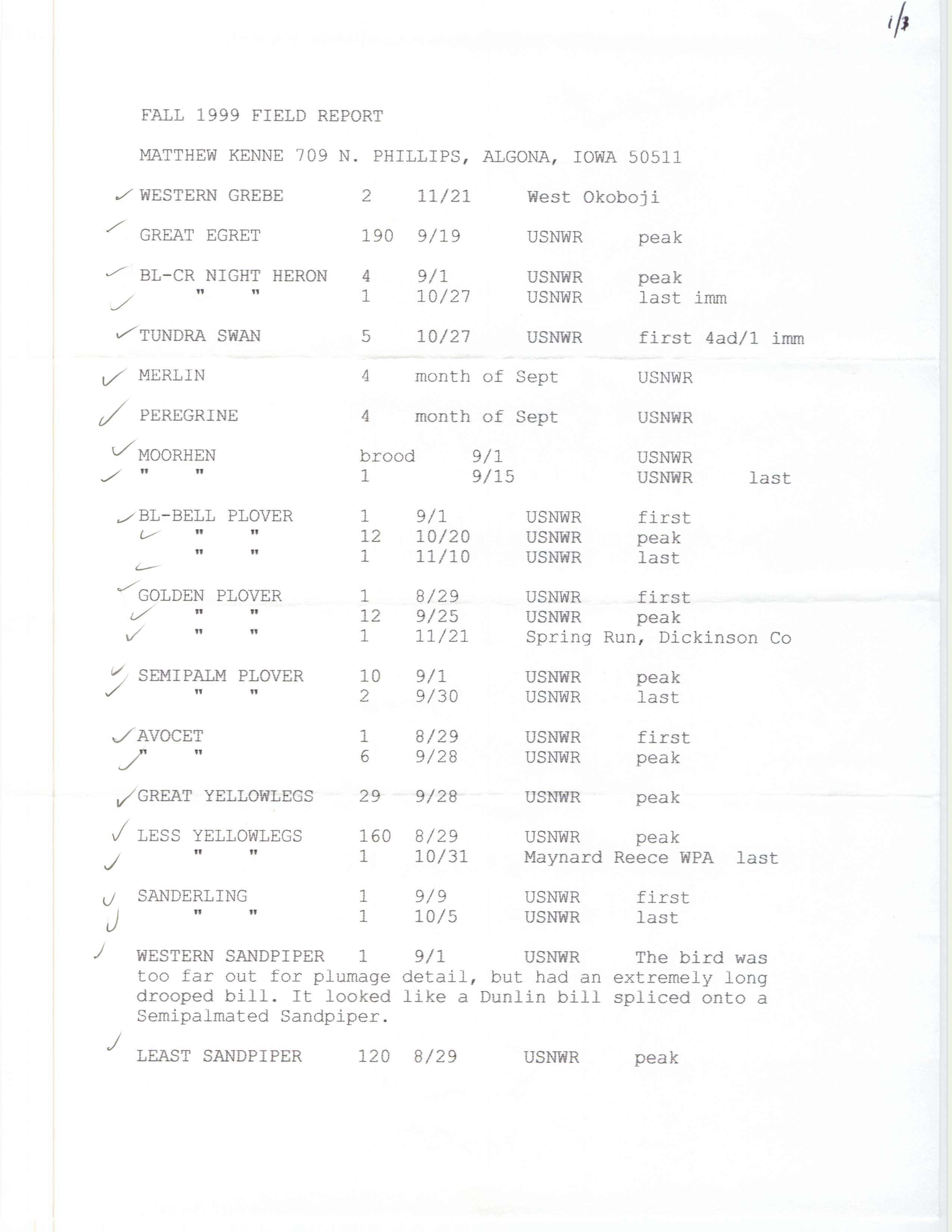 Fall 1999 field report, Matthew Kenne