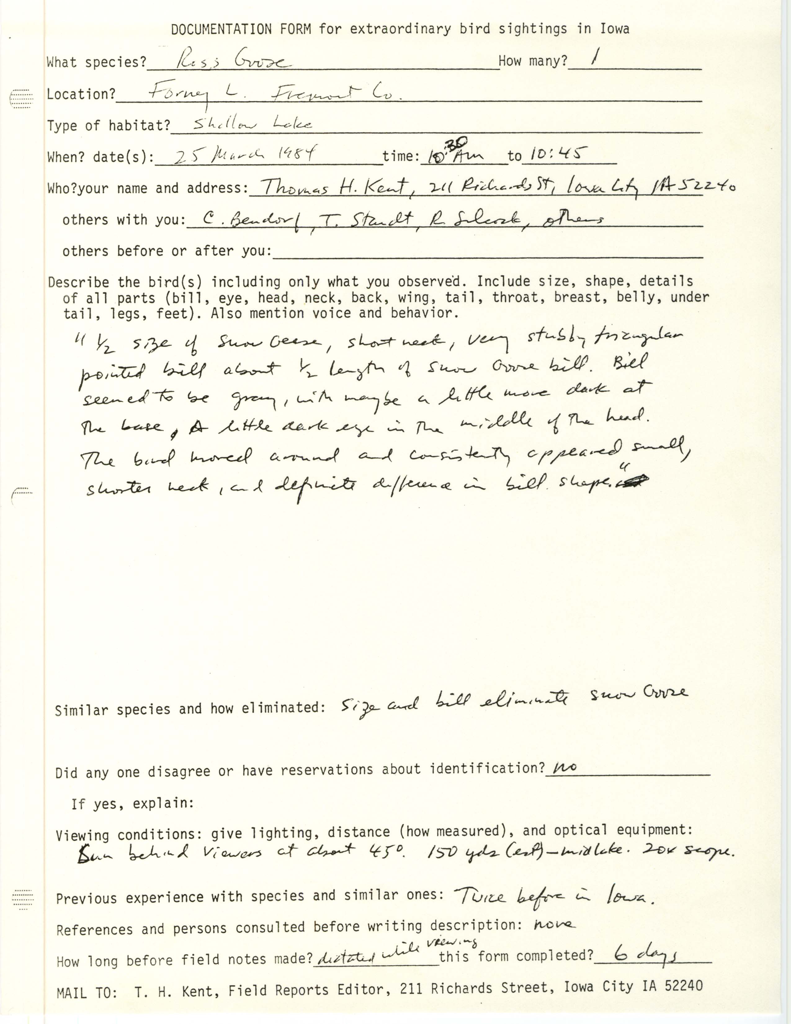 Rare bird documentation form for Ross' Goose at Forneys Lake, 1984