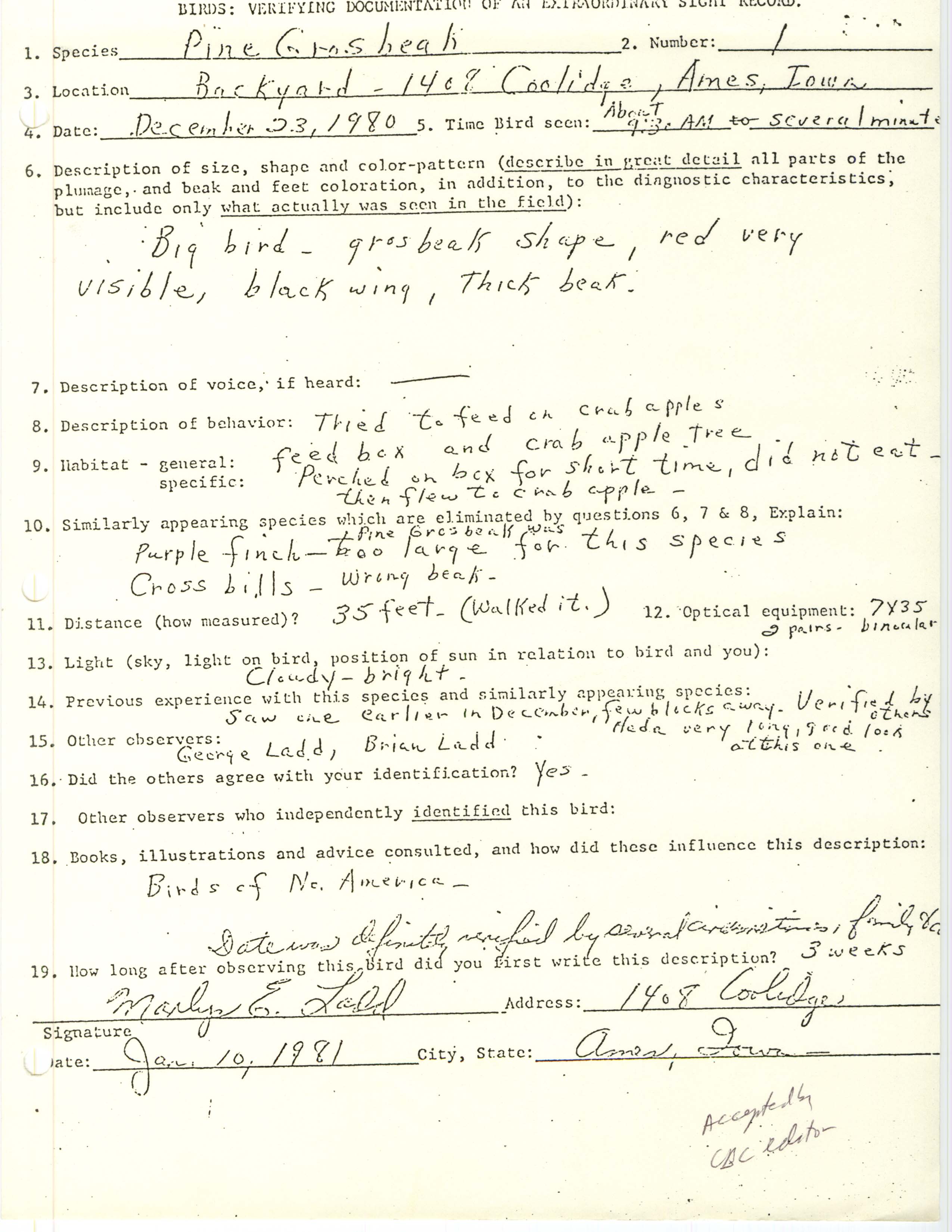 Rare bird documentation form for Pine Grosbeak at Ames, 1980