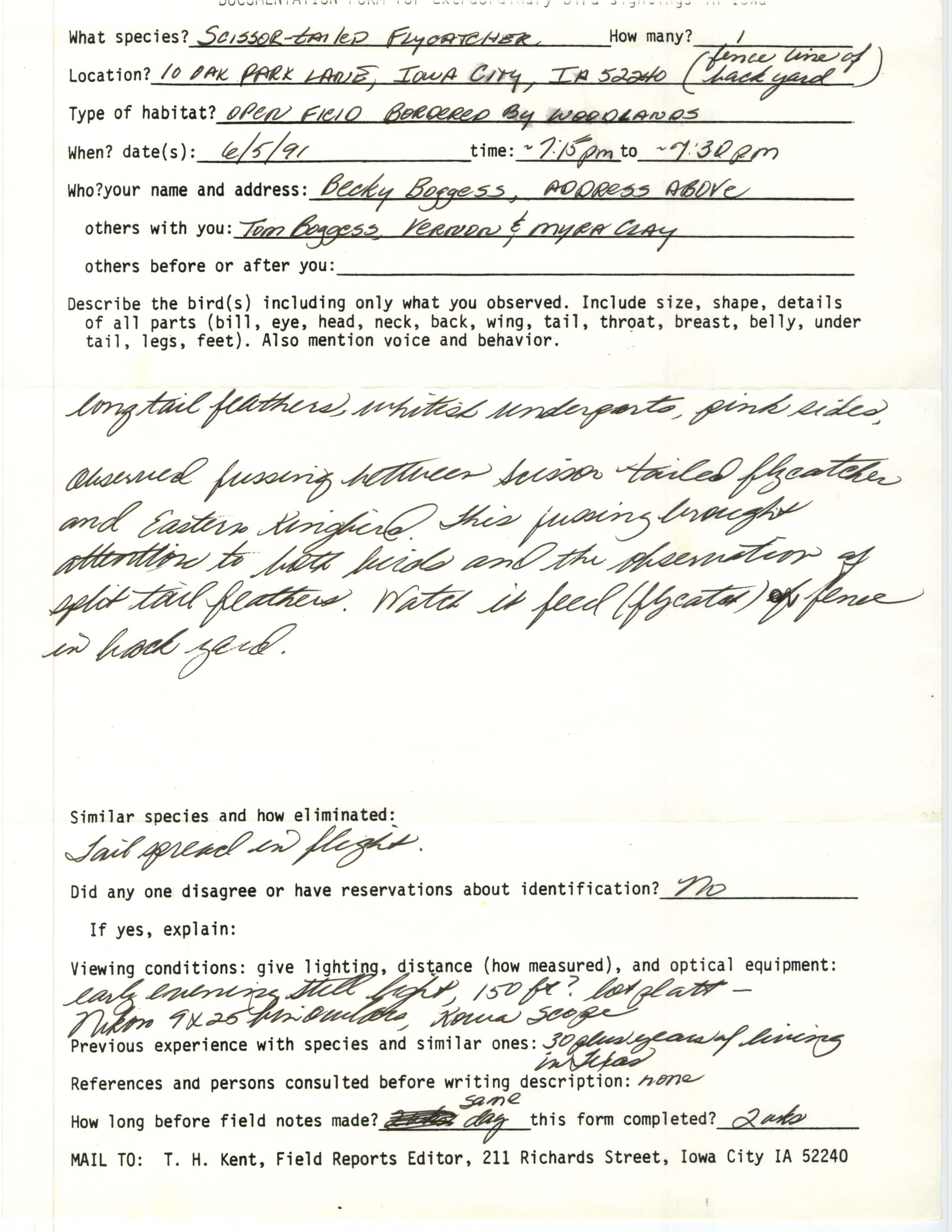 Rare bird documentation form for Scissor-tailed Flycatcher at Iowa City, 1991