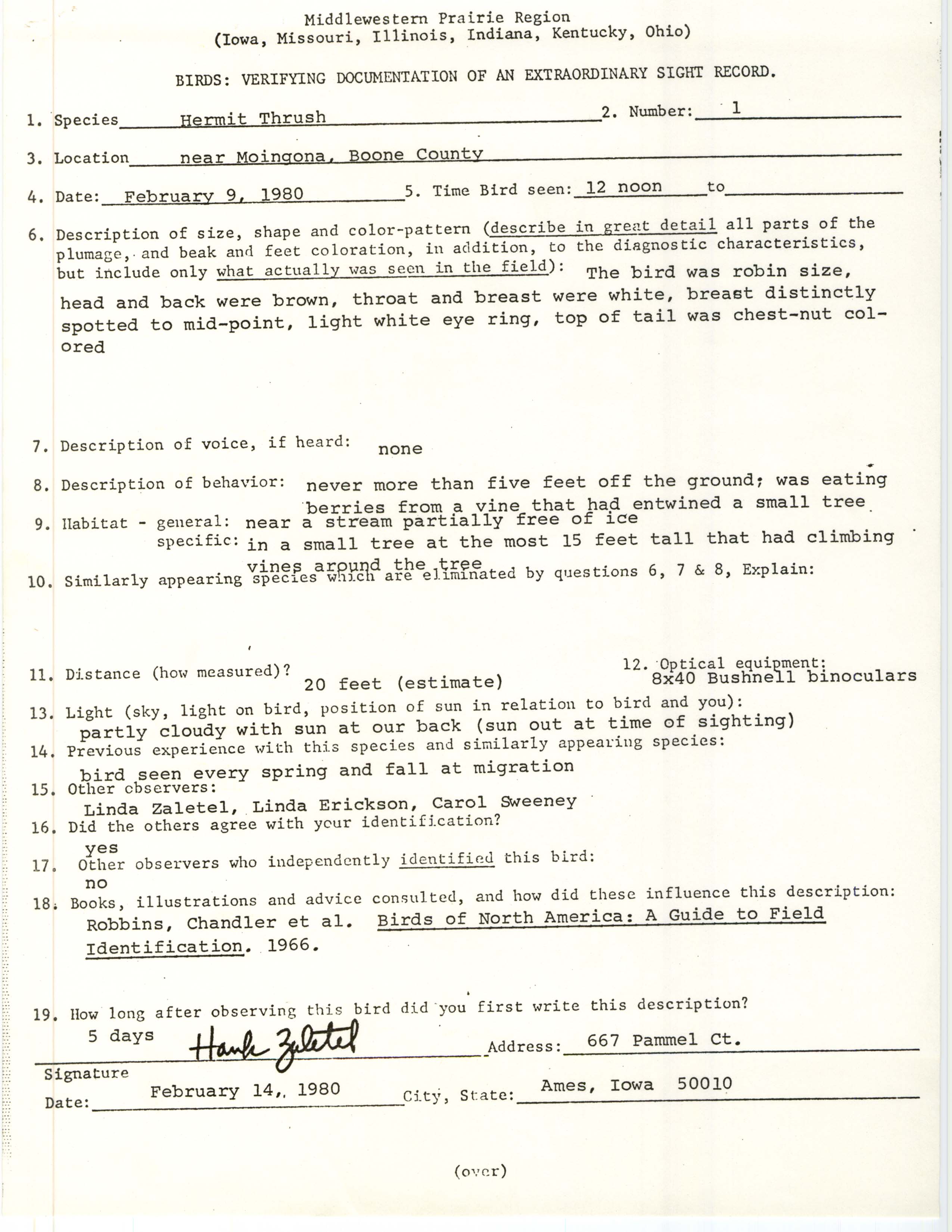 Rare bird documentation form for Hermit Thrush near Moingona, 1980