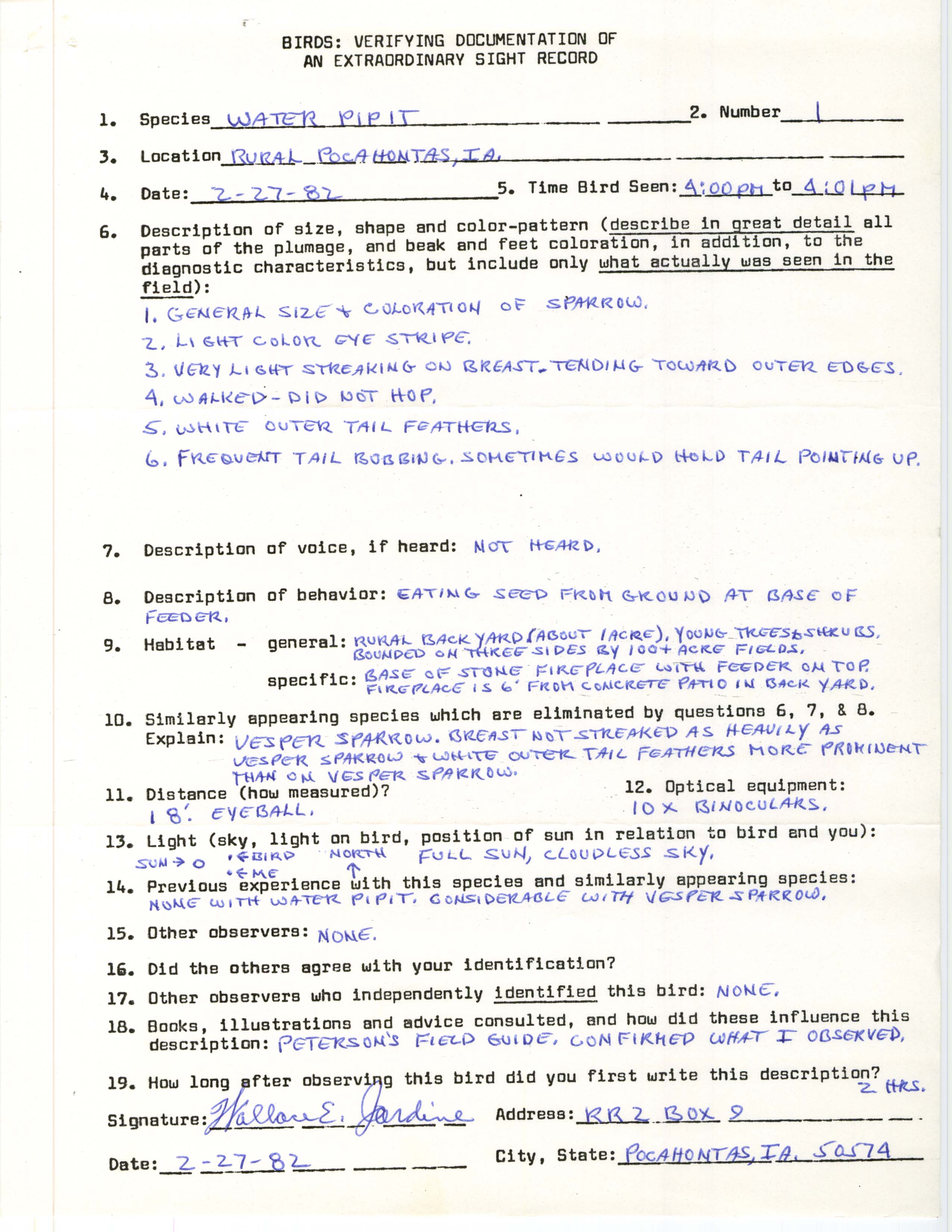 Rare bird documentation form for American Pipit at Pocahontas, 1982