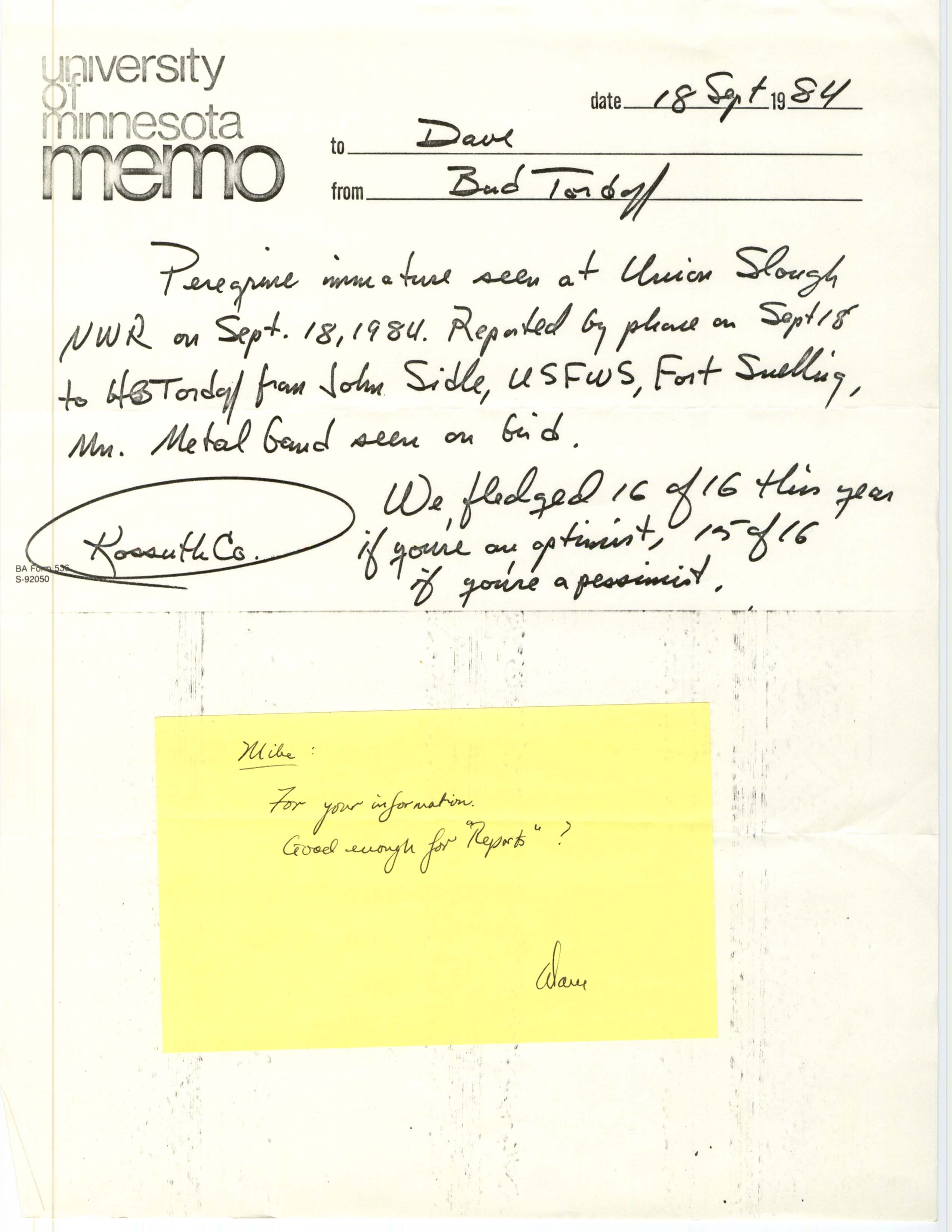 Bud Tordoff memo to Dave regarding Peregrine Falcon sighting, September 18, 1984