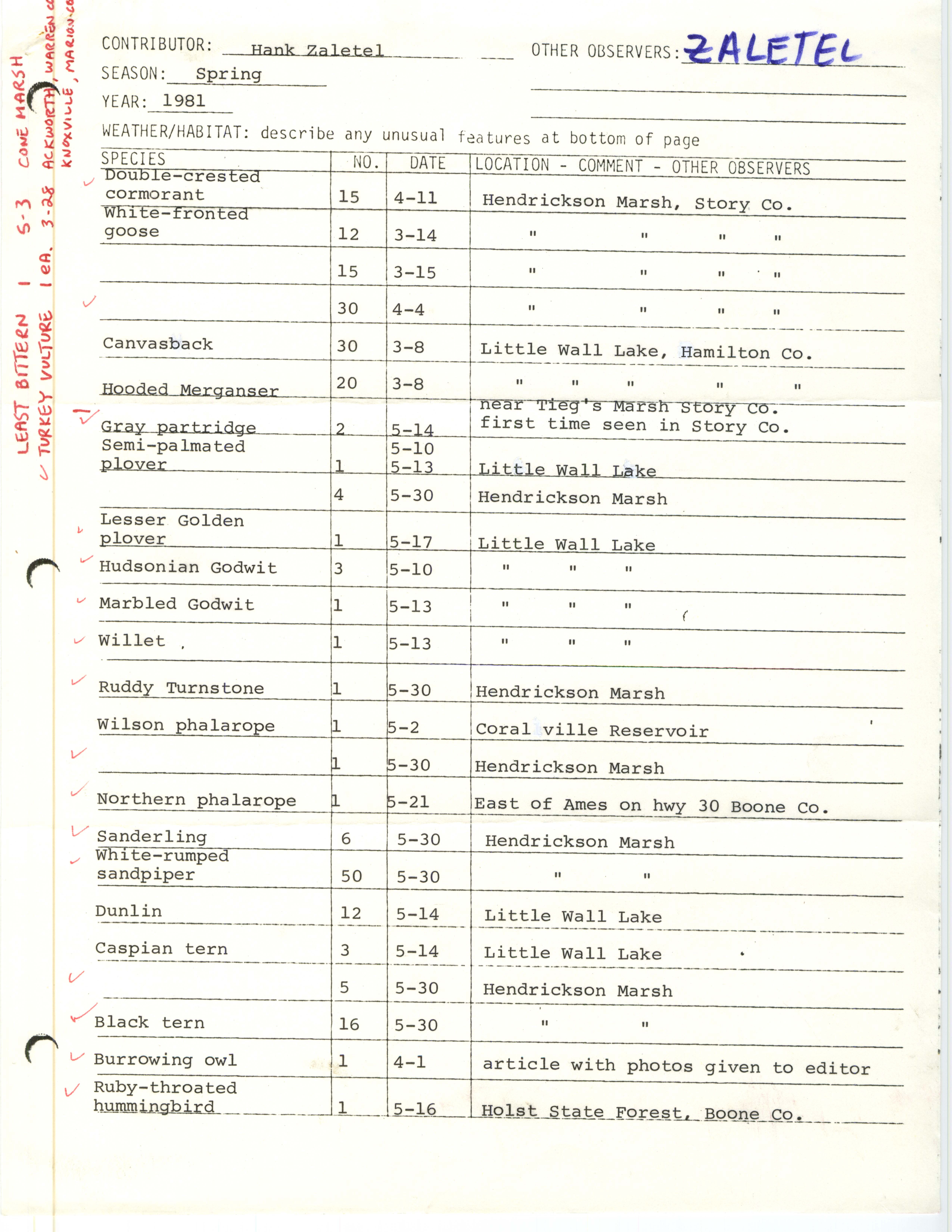 Annotated bird sighting list for spring 1981 compiled by Hank Zaletel