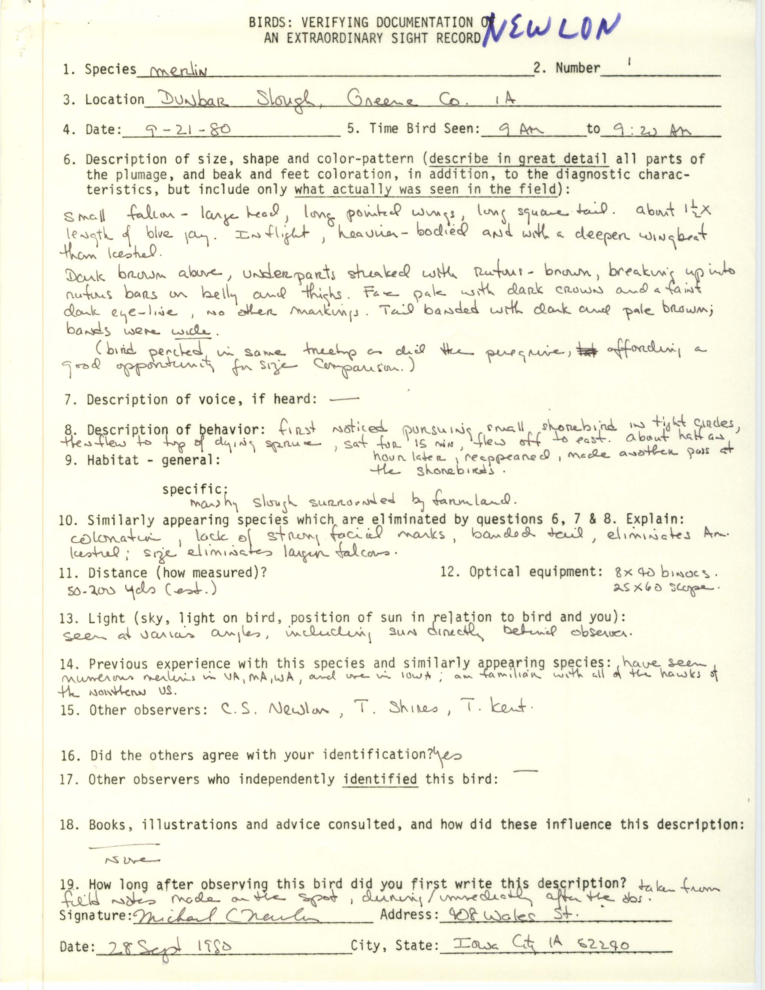 Rare bird documentation form for Merlin at Dunbar Slough, 1980