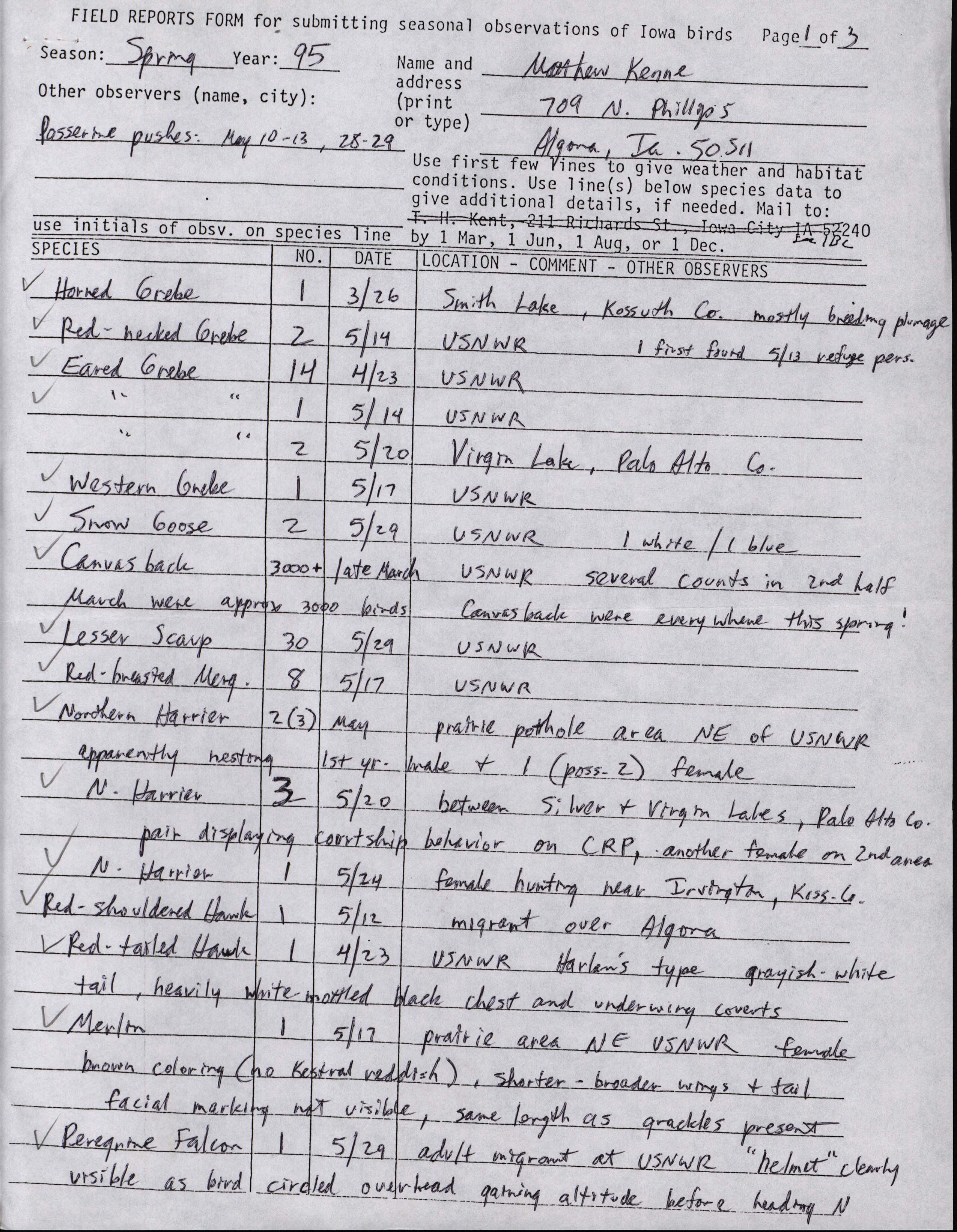 Field reports form for submitting seasonal observations of Iowa birds, spring 1995, Matthew Kenne