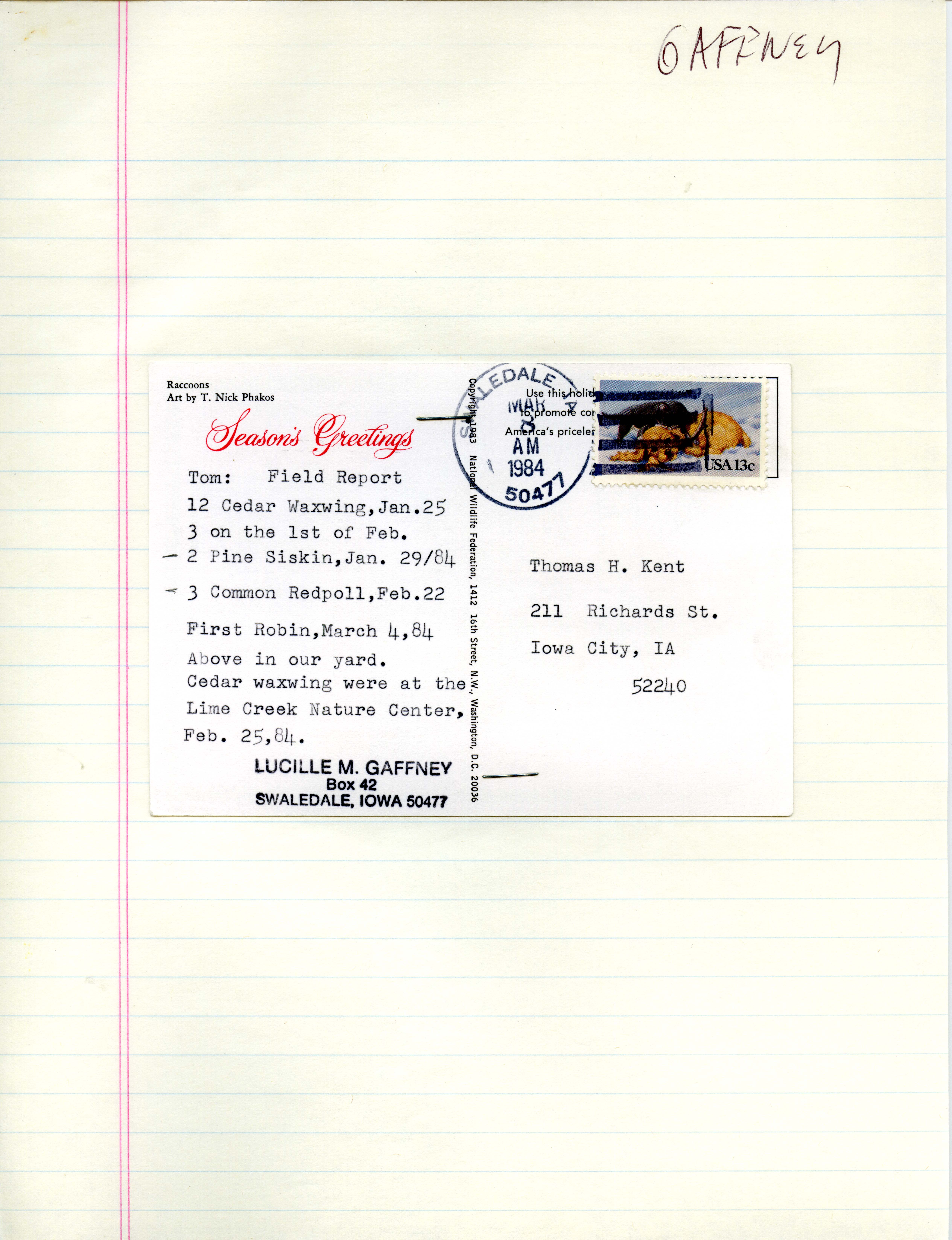 Lucille M. Gaffney postcard to Thomas H. Kent regarding birds sighted, March 8, 1984
