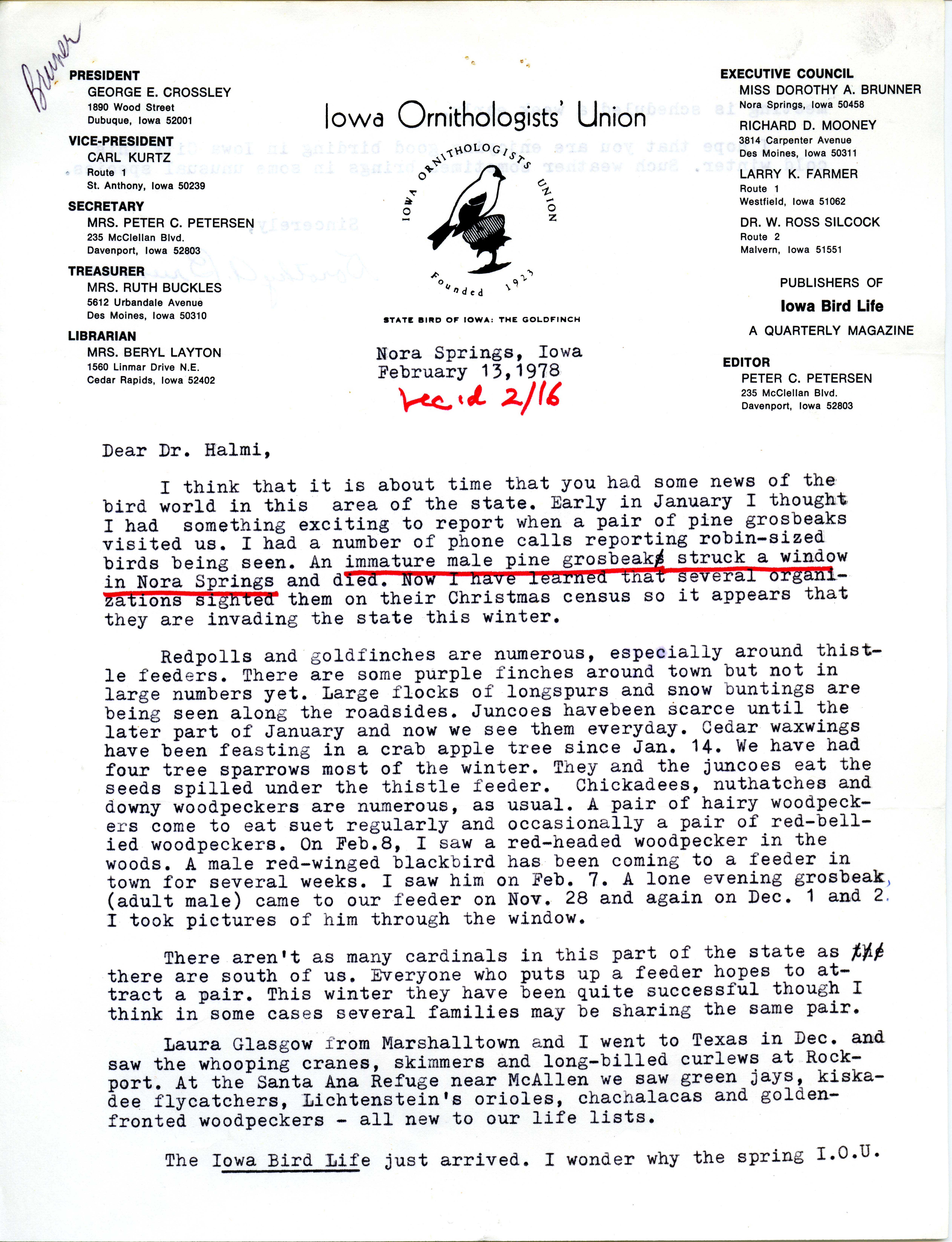 Dorothy A. Brunner letter to Nicholas S. Halmi regarding bird sightings, February 13, 1978