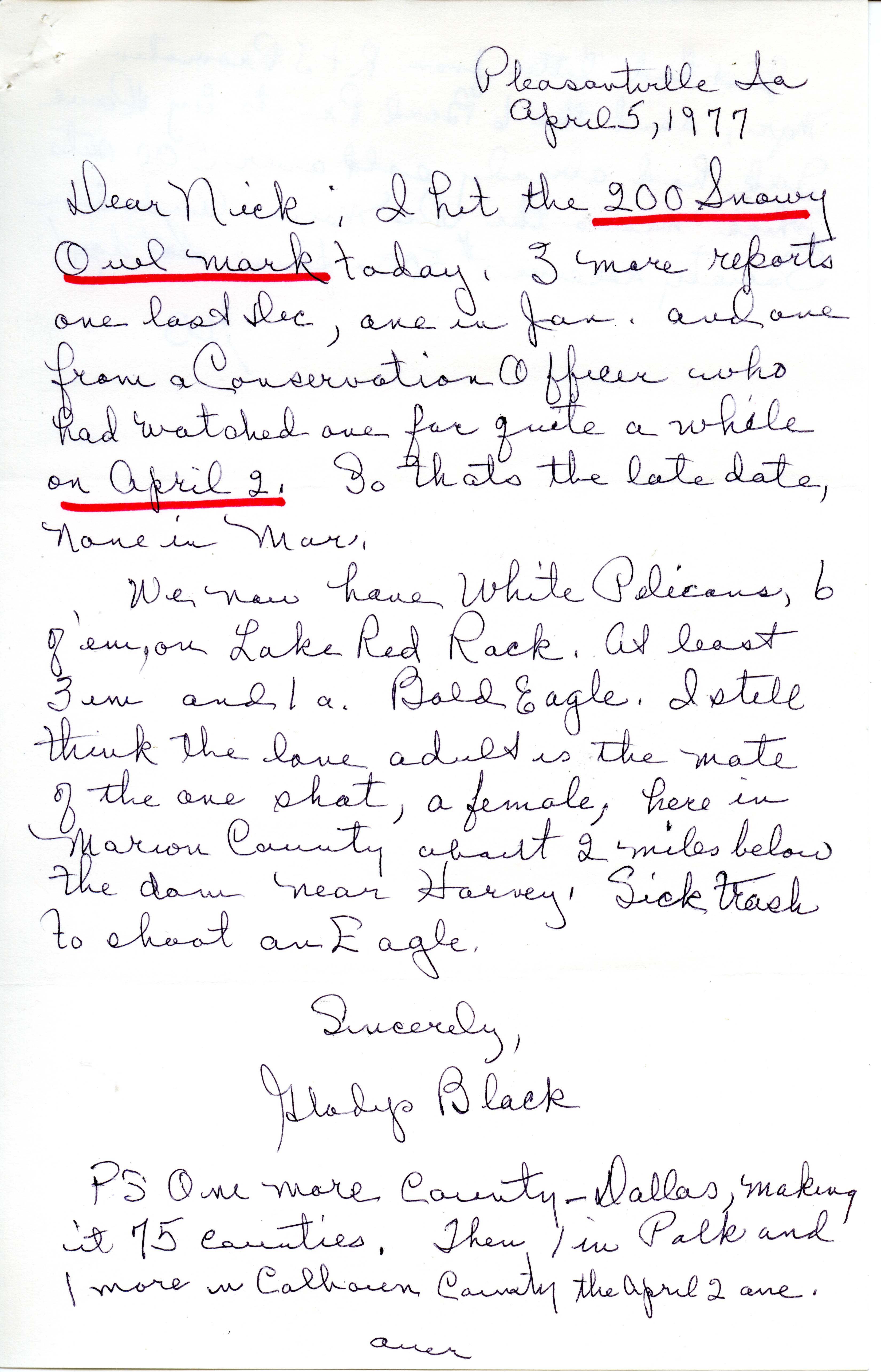 Gladys Black letter to Nicholas S. Halmi regarding bird sightings, April 5, 1977