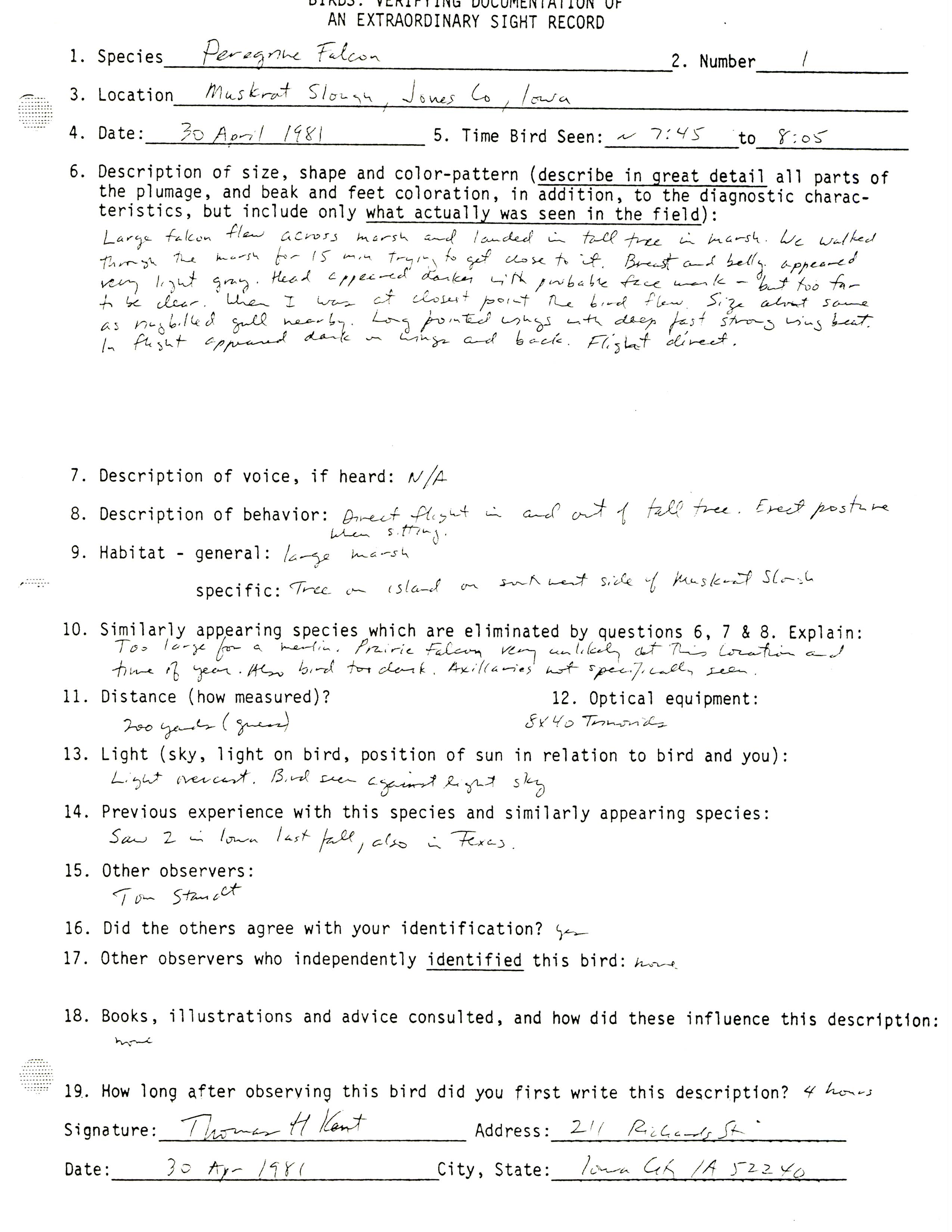 Rare bird documentation form for Peregrine Falcon at Muskrat Slough, 1981